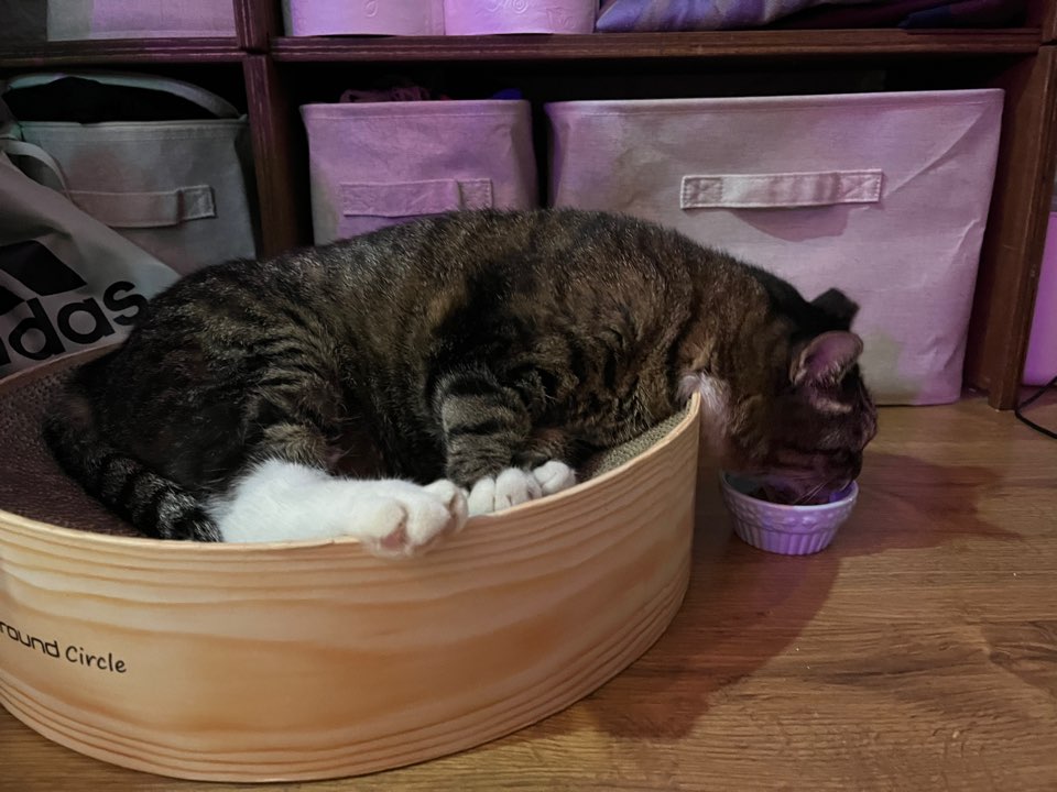 비누가 좋아하는 것, 비누가 싫어하는 것