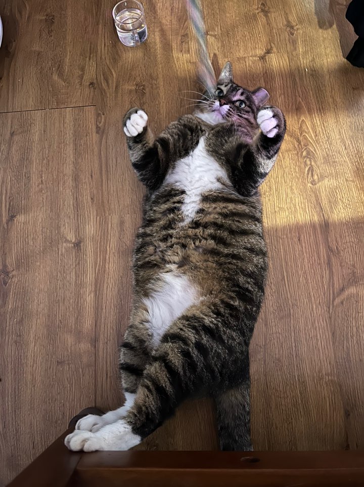 비누가 좋아하는 것, 비누가 싫어하는 것