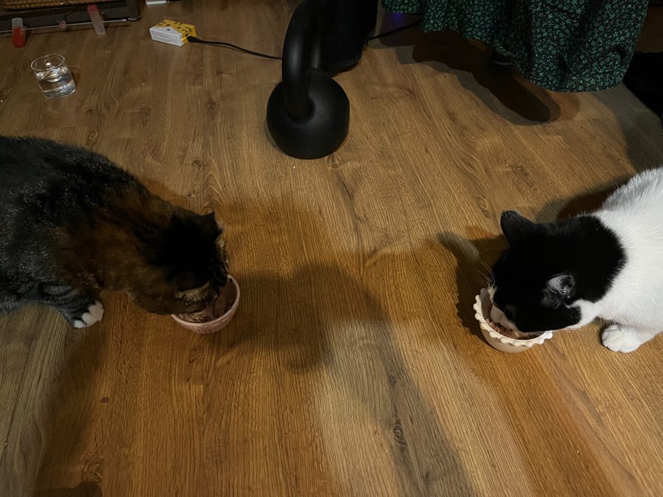 비누가 좋아하는 것, 비누가 싫어하는 것