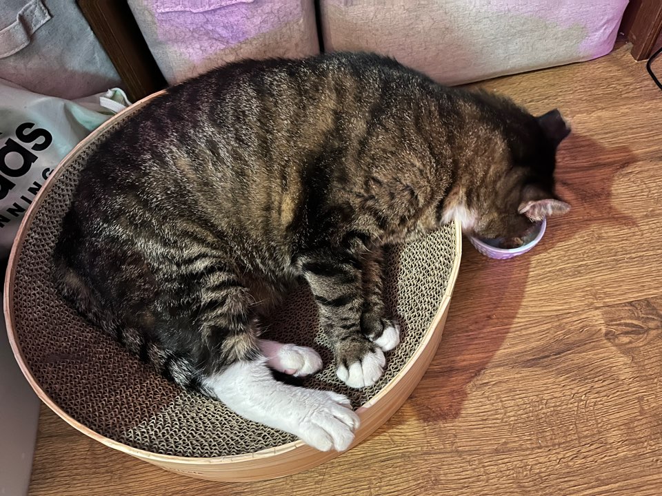 비누가 좋아하는 것, 비누가 싫어하는 것