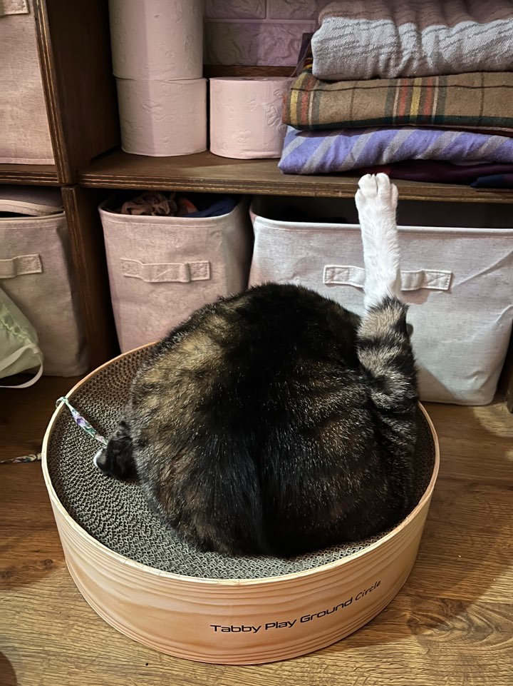 비누가 좋아하는 것, 비누가 싫어하는 것