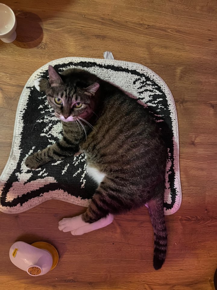 비누가 좋아하는 것, 비누가 싫어하는 것