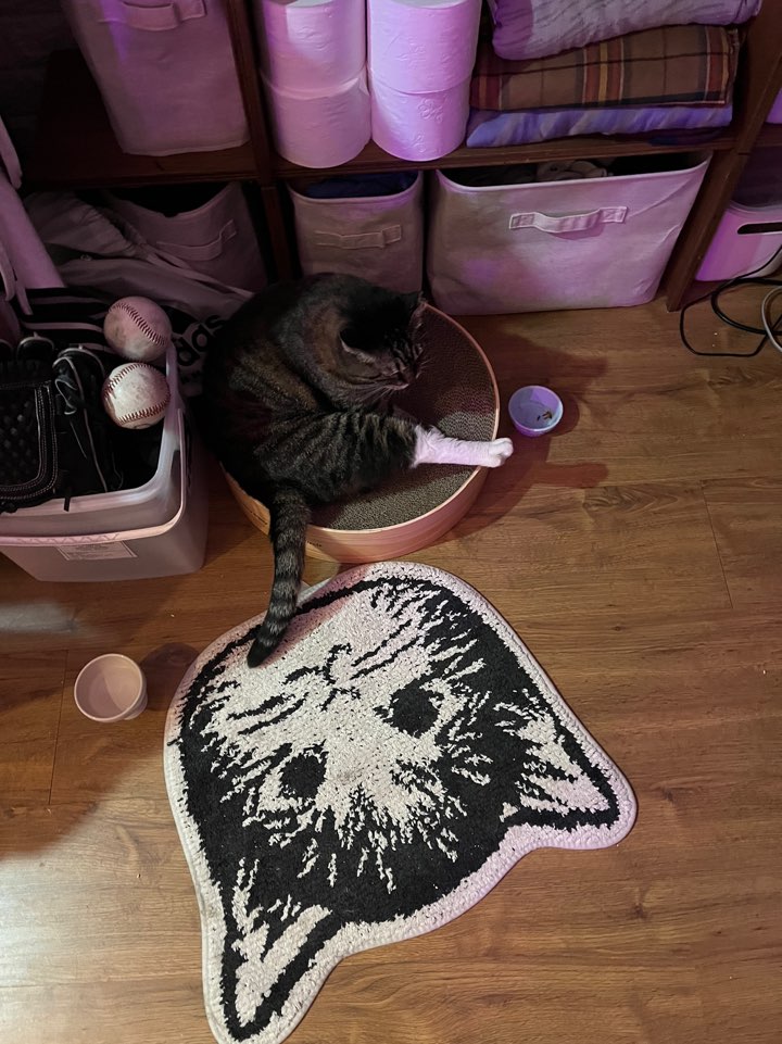 비누가 좋아하는 것, 비누가 싫어하는 것