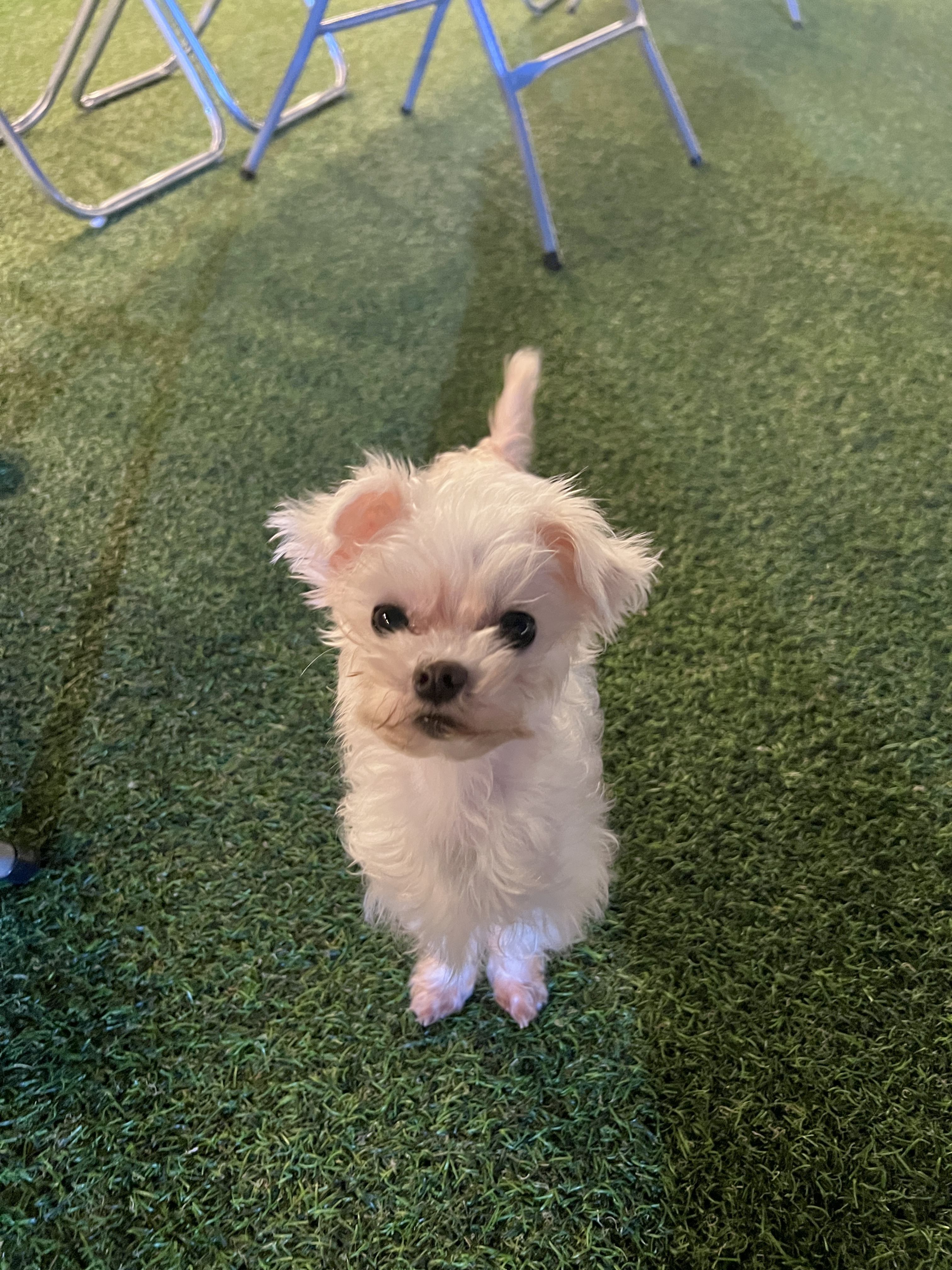 구 삼원 현 미소 임보 한달기