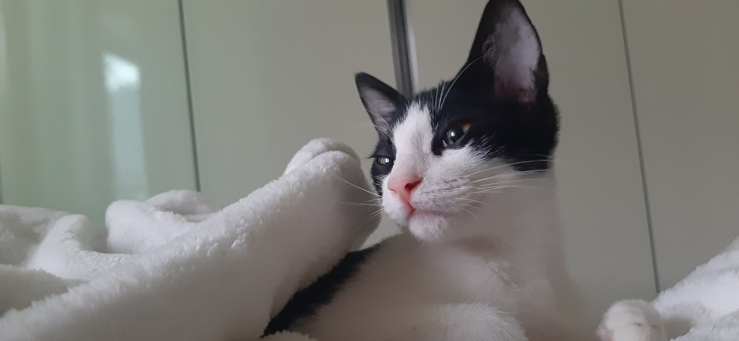 힘찬이와 무럭이와 함께한 3개월