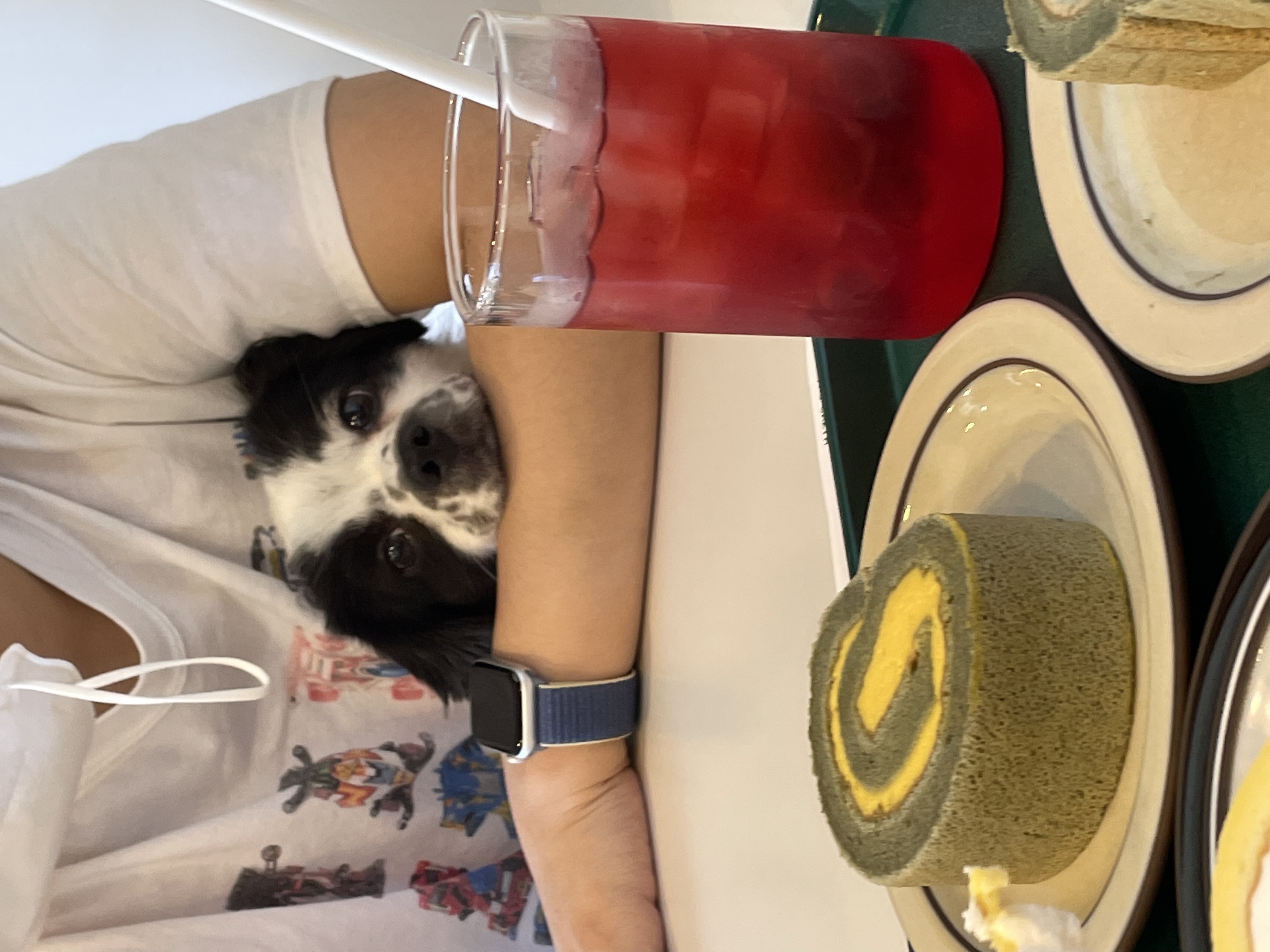 오구가 이지된 지 벌써 일년이에요~!