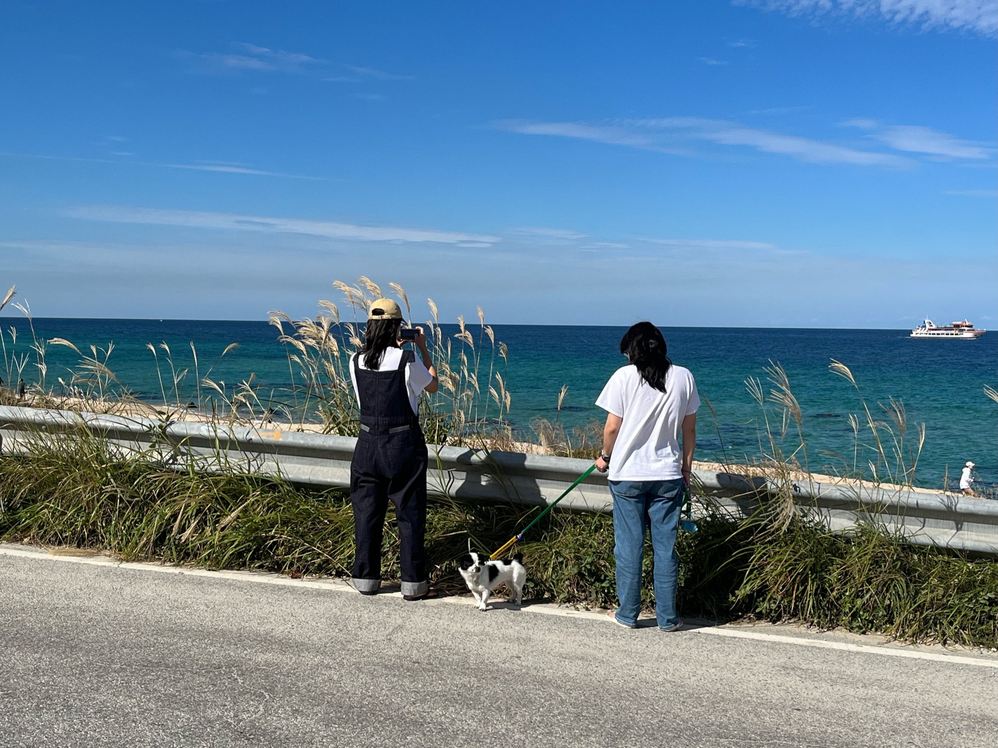 오구가 이지된 지 벌써 일년이에요~!