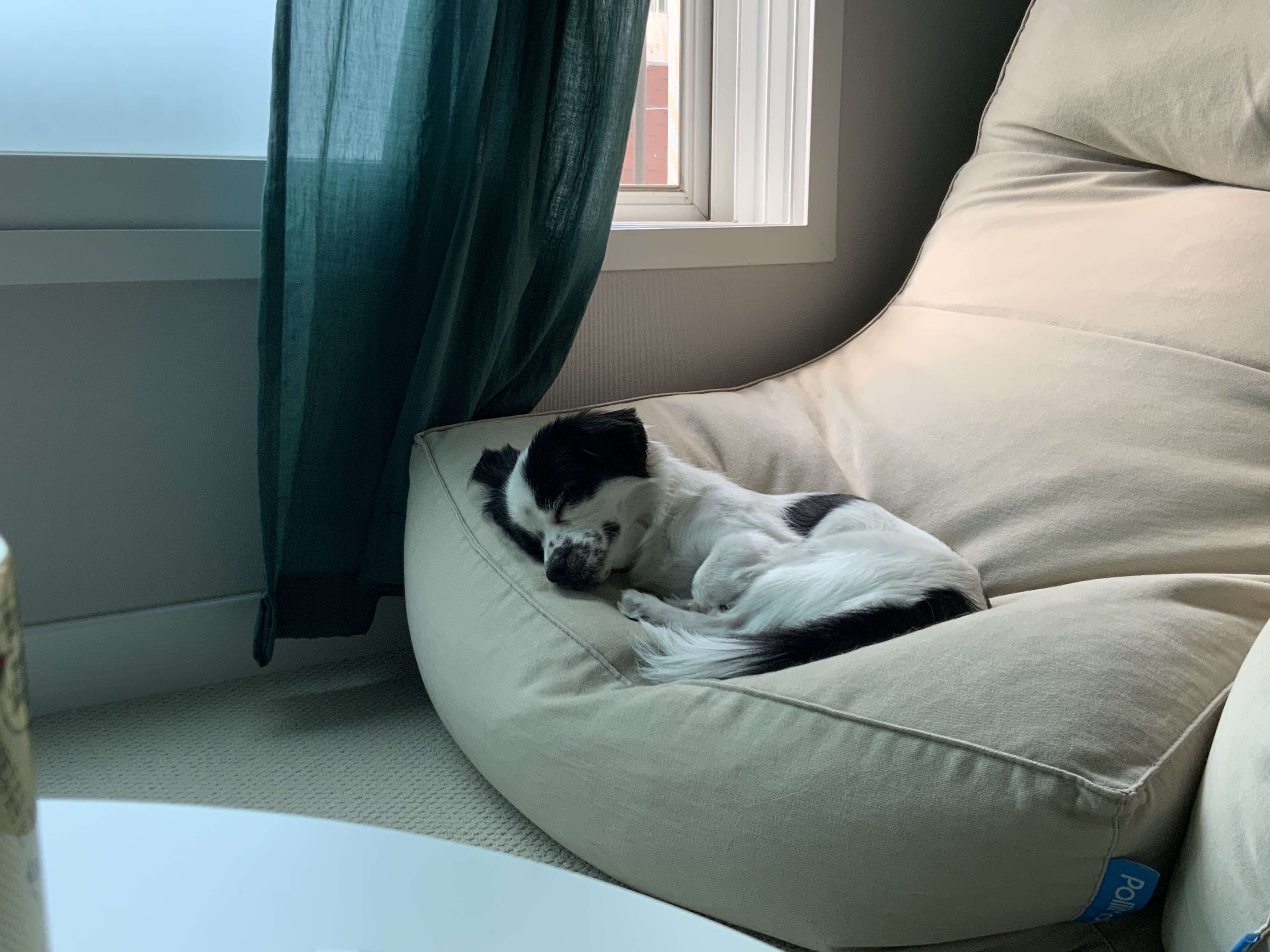 오구가 이지된 지 벌써 일년이에요~!