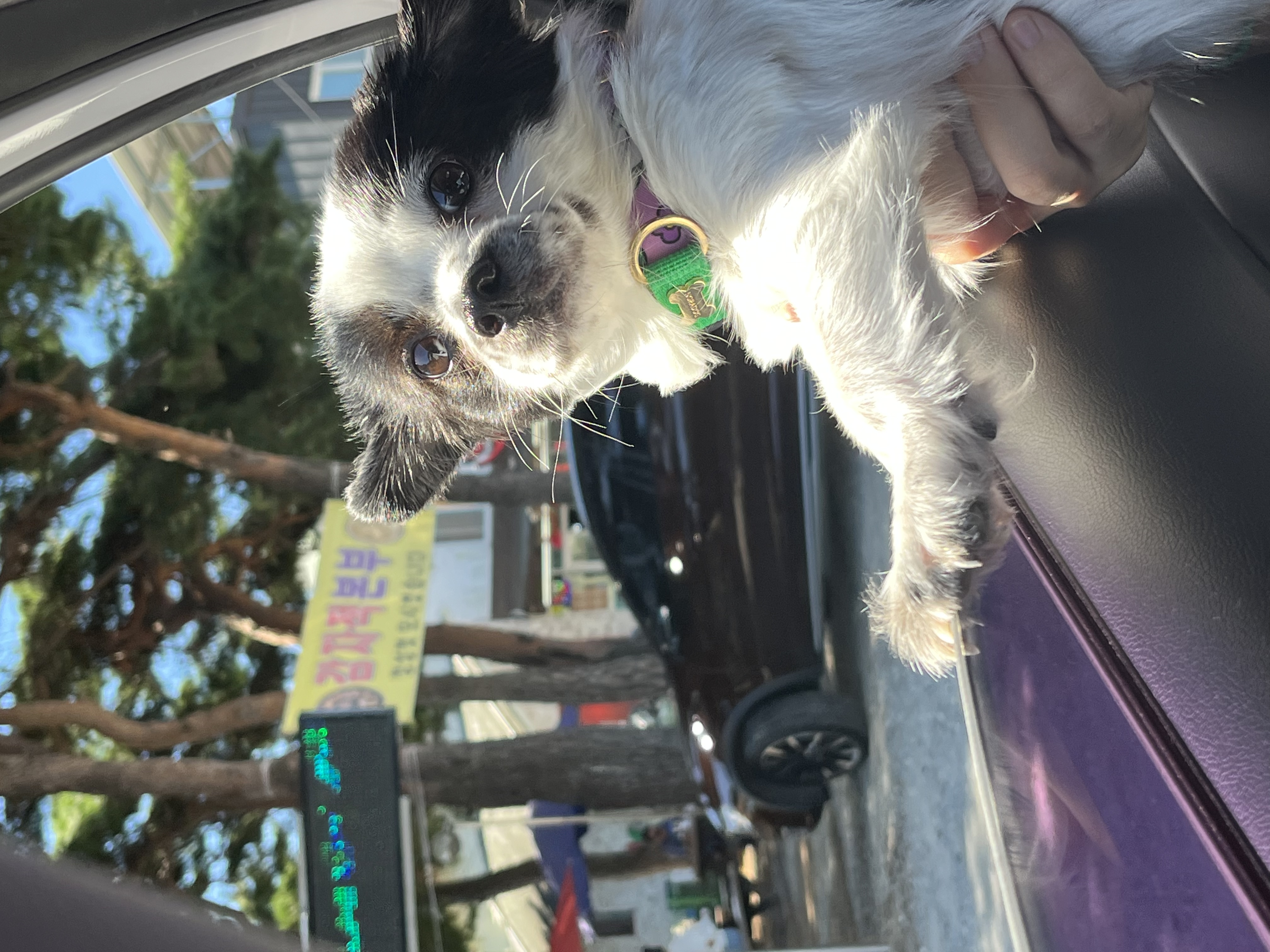 오구가 이지된 지 벌써 일년이에요~!