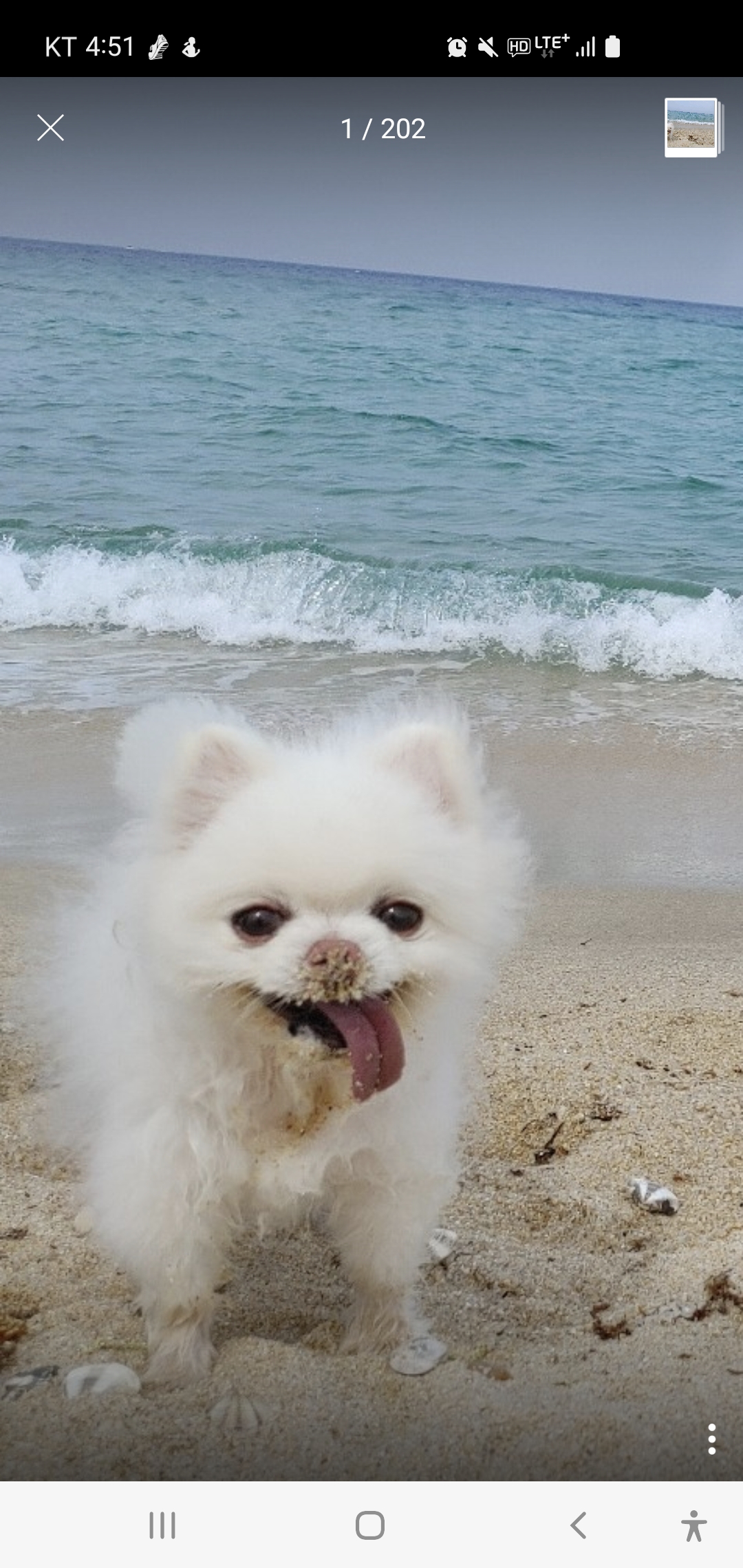 뽀송이 잘 있어