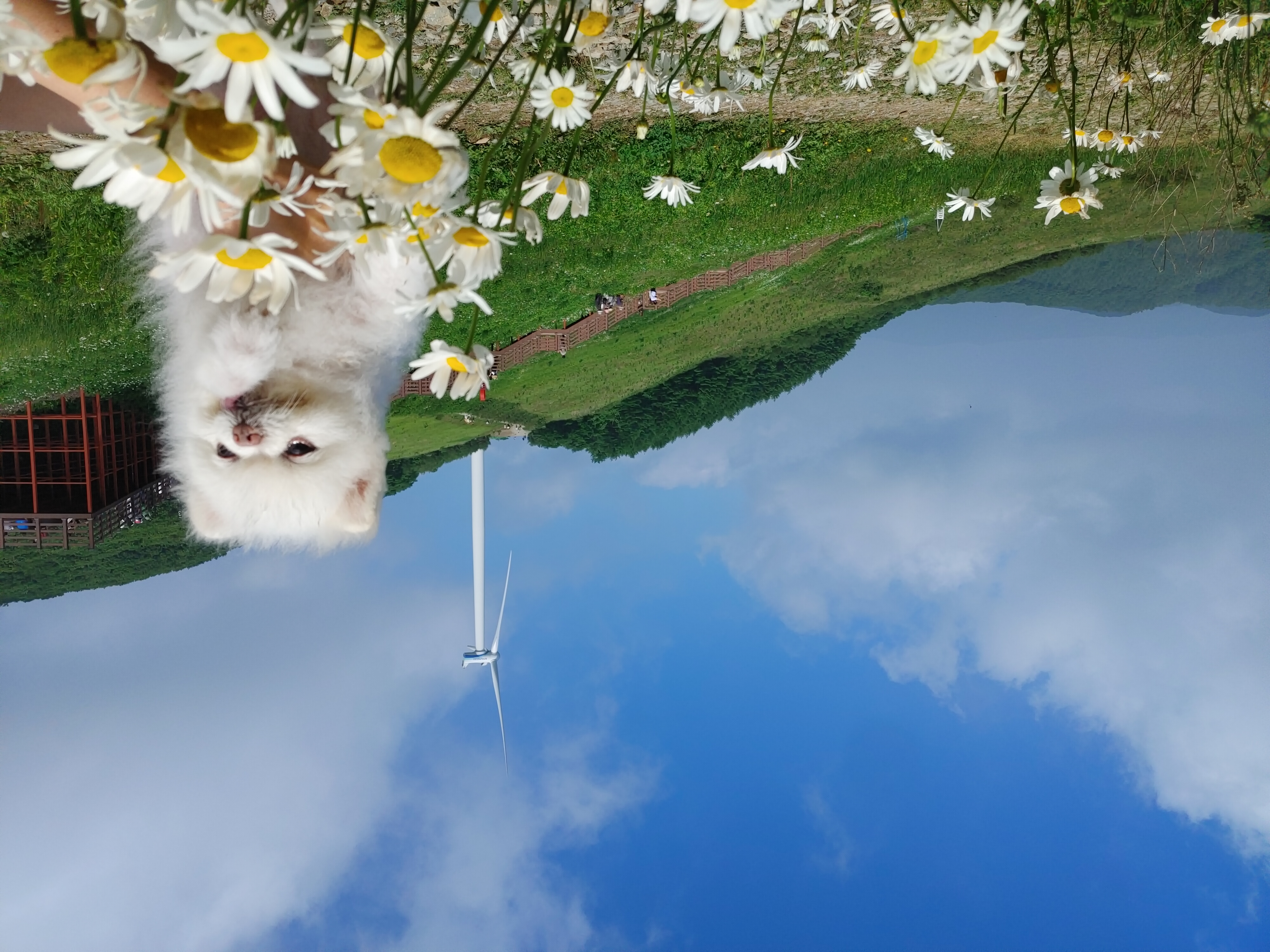 뽀송이 잘 있어