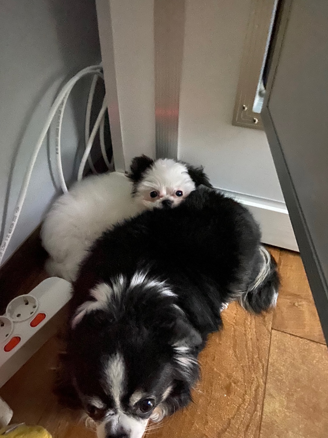 갈래 잘지내고 있어요