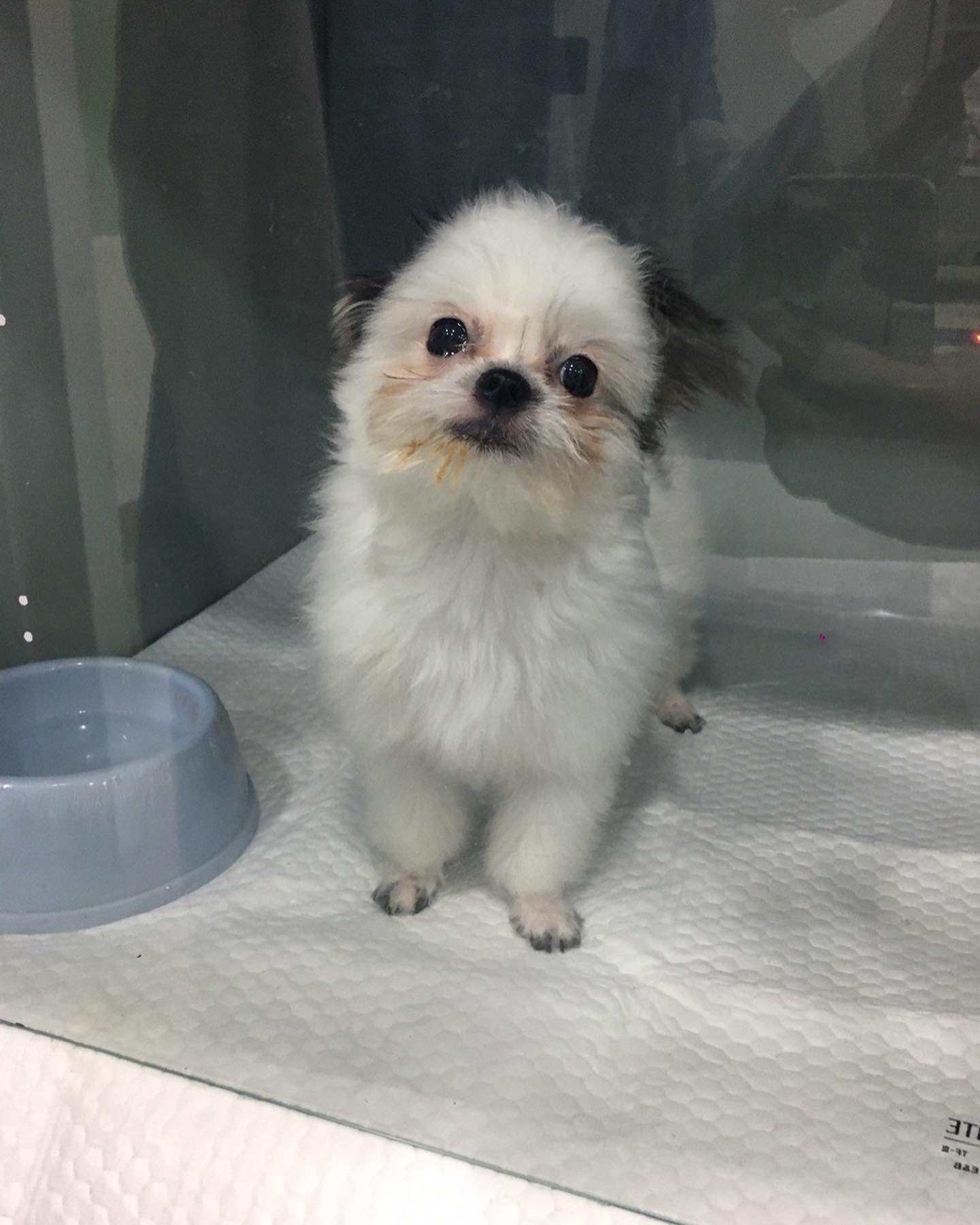 갈래 잘지내고 있어요