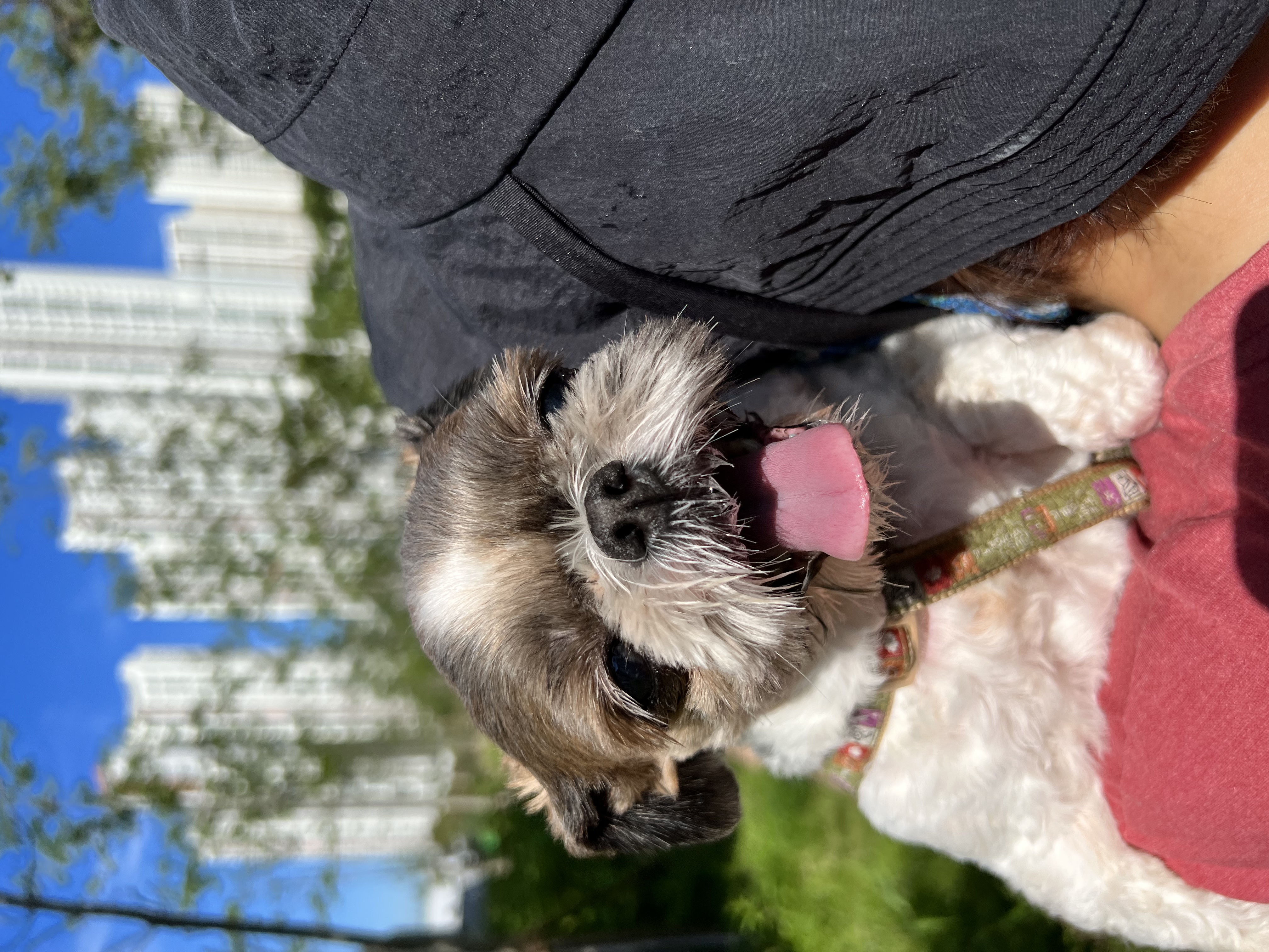 영천이와 행복한 나날