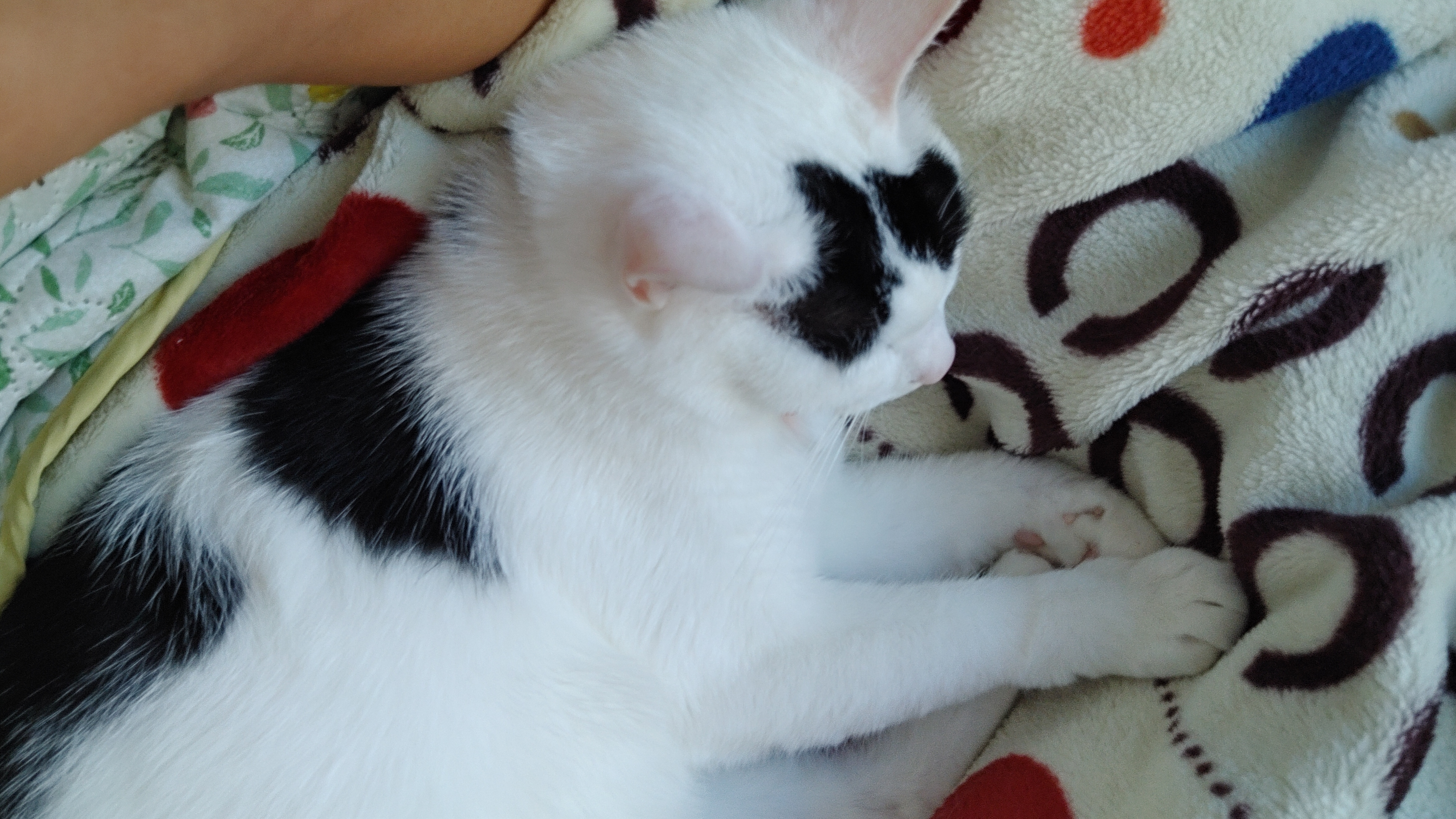 와!!벌써2년이네요~