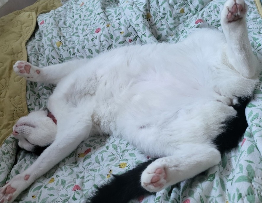 와!!벌써2년이네요~