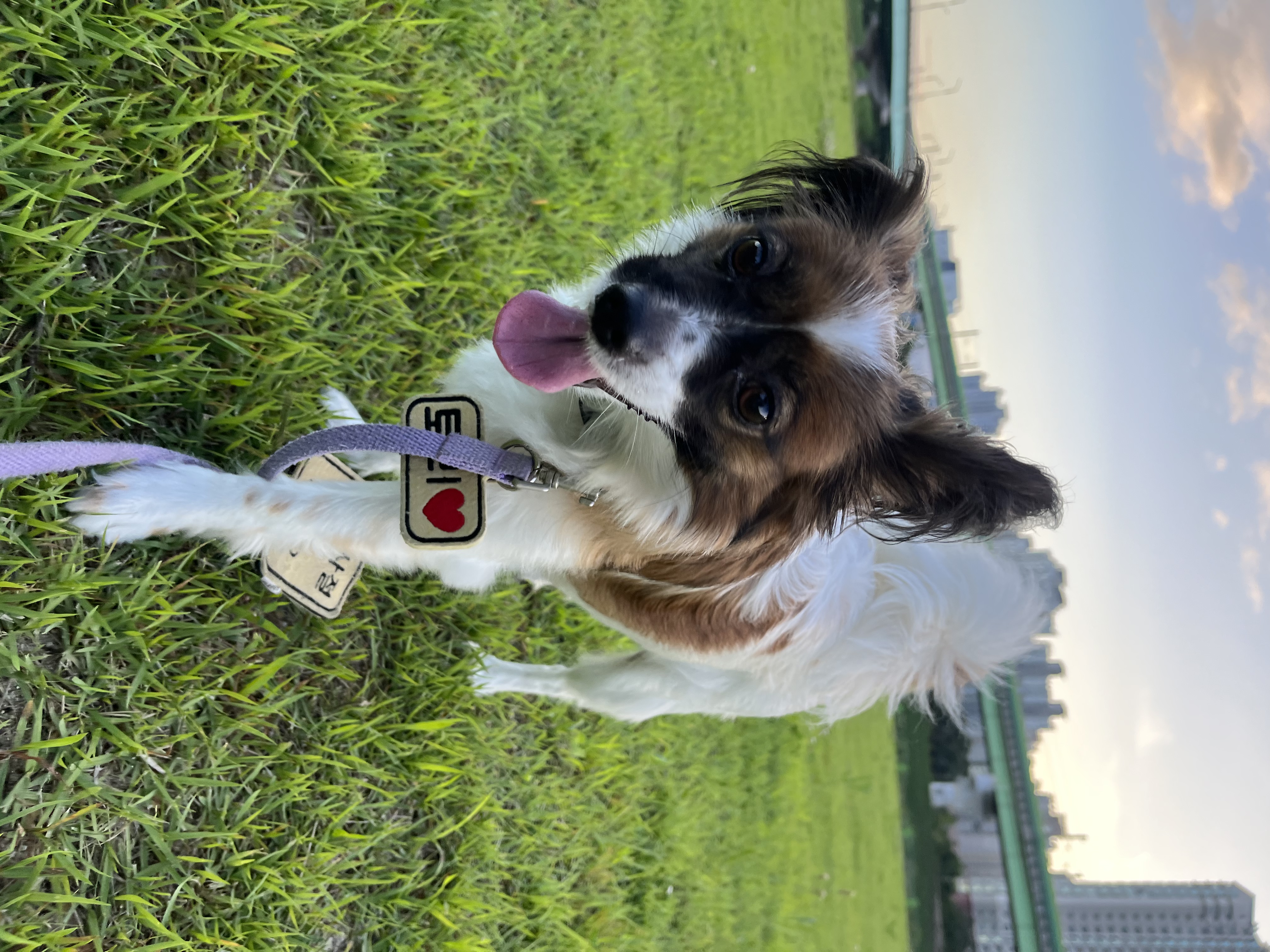 은하 (토리 ) 후기 벌써 2년이 지났습니다 