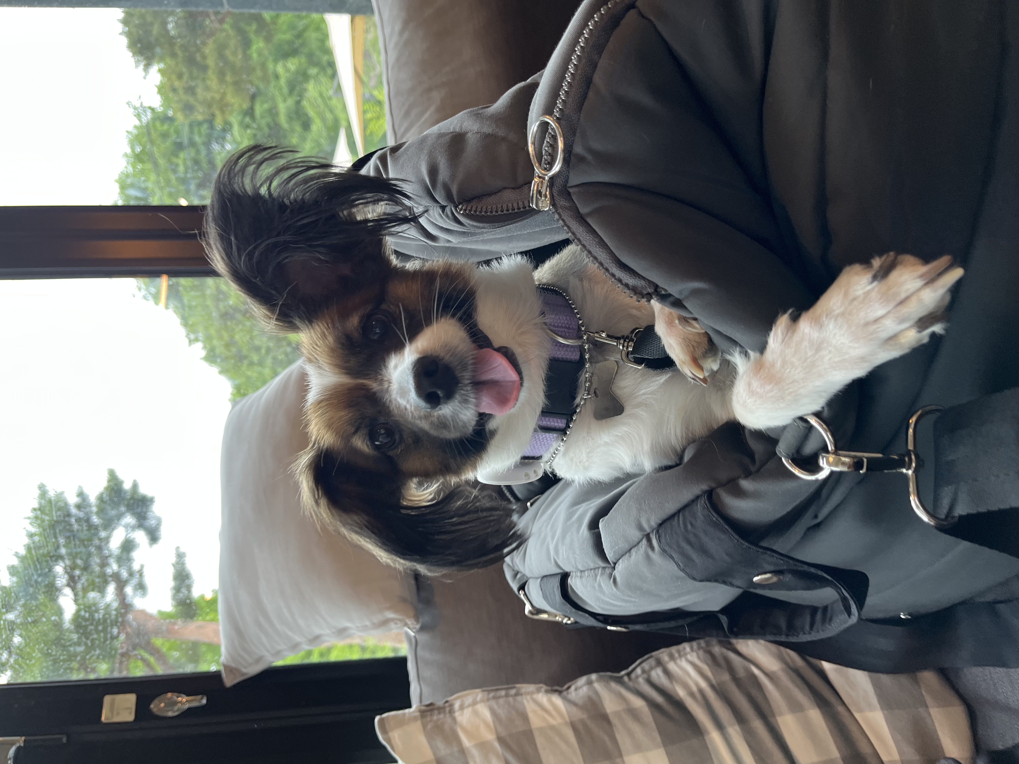 은하 (토리 ) 후기 벌써 2년이 지났습니다 