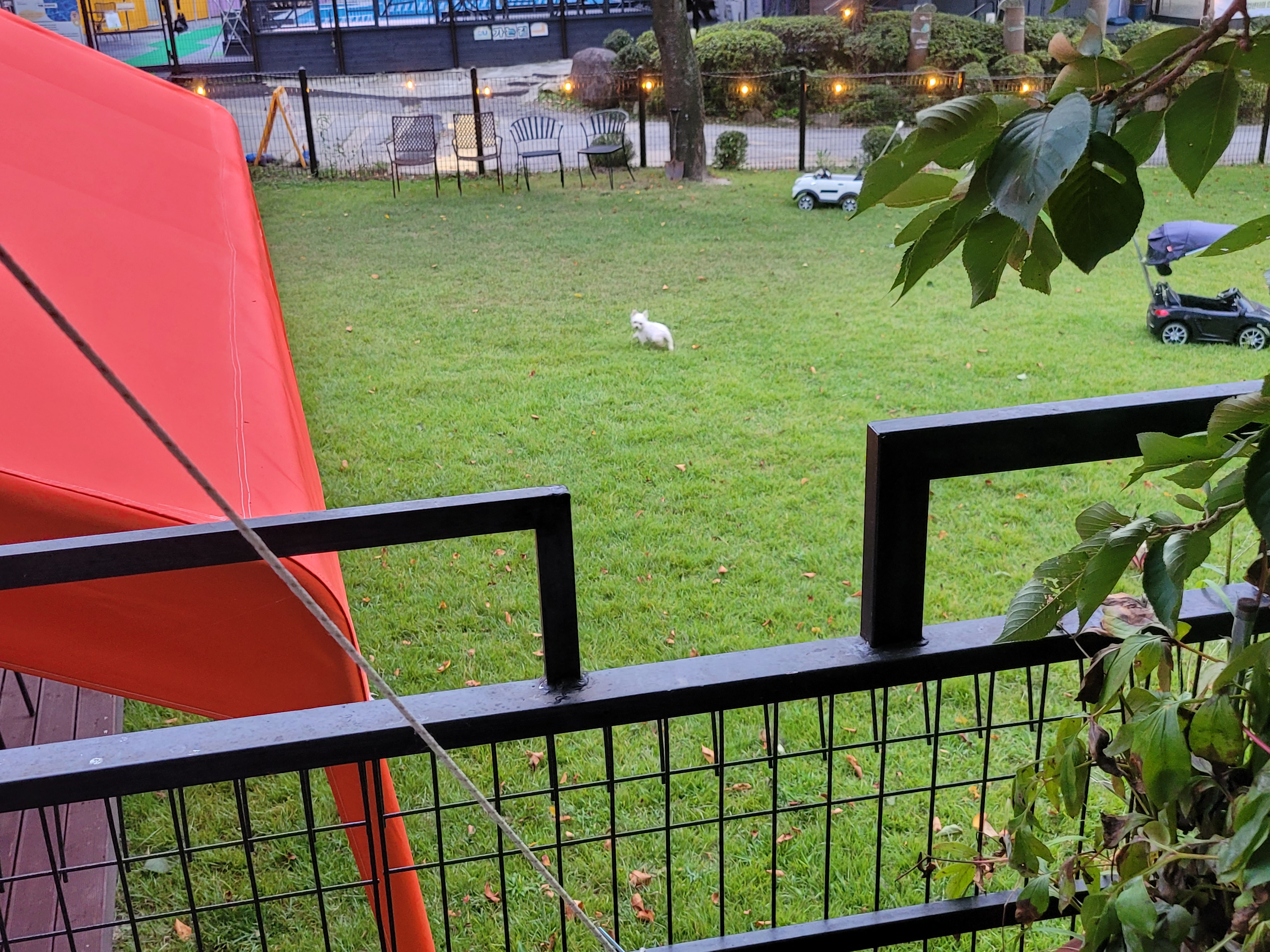 세라 임보일기 2!!!