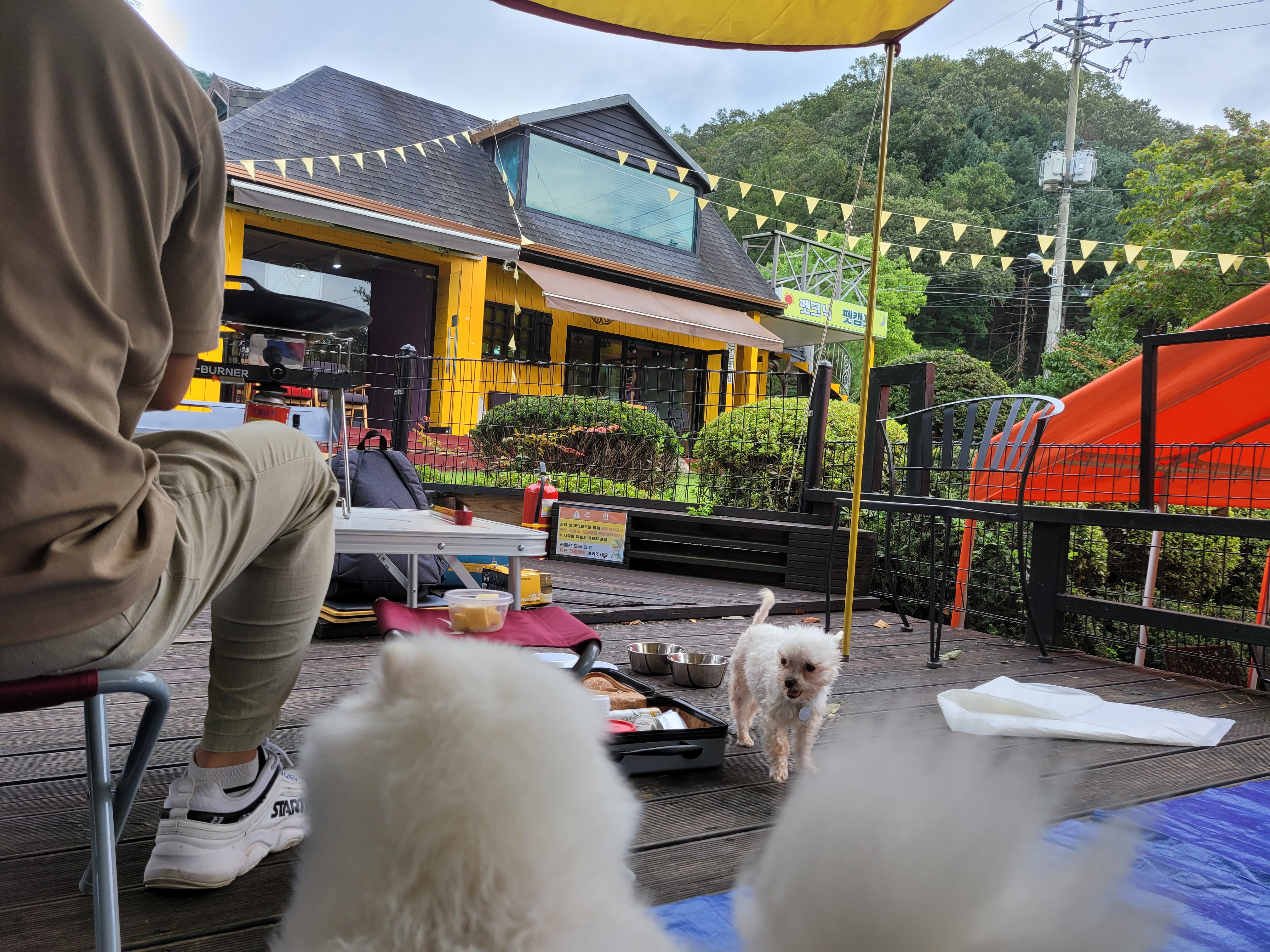 세라 임보일기 2!!!