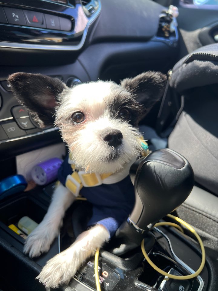 리코와 라이카의 근황입니다~!