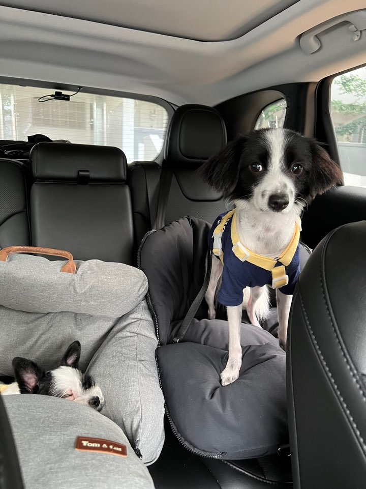 리코와 라이카의 근황입니다~!