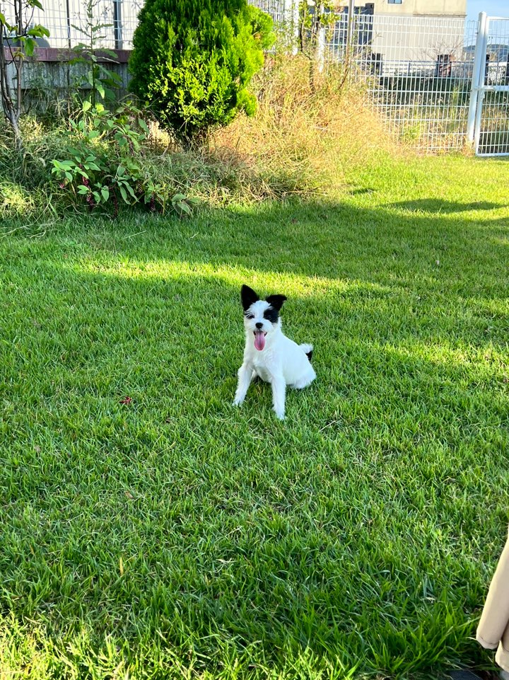 리코와 라이카의 근황입니다~!