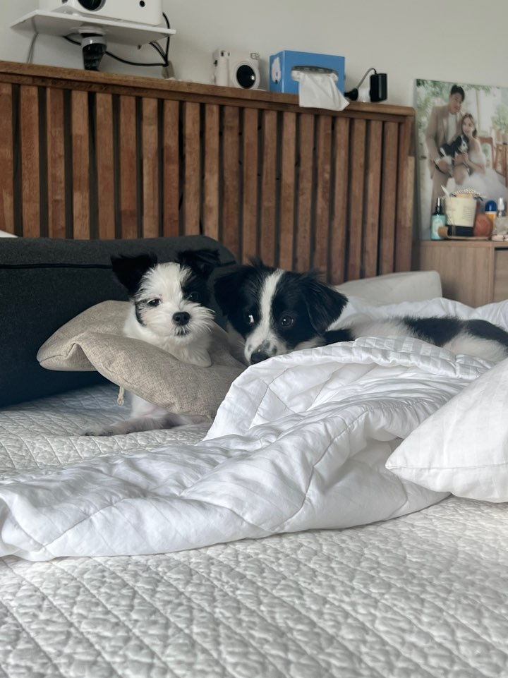 리코와 라이카의 근황입니다~!