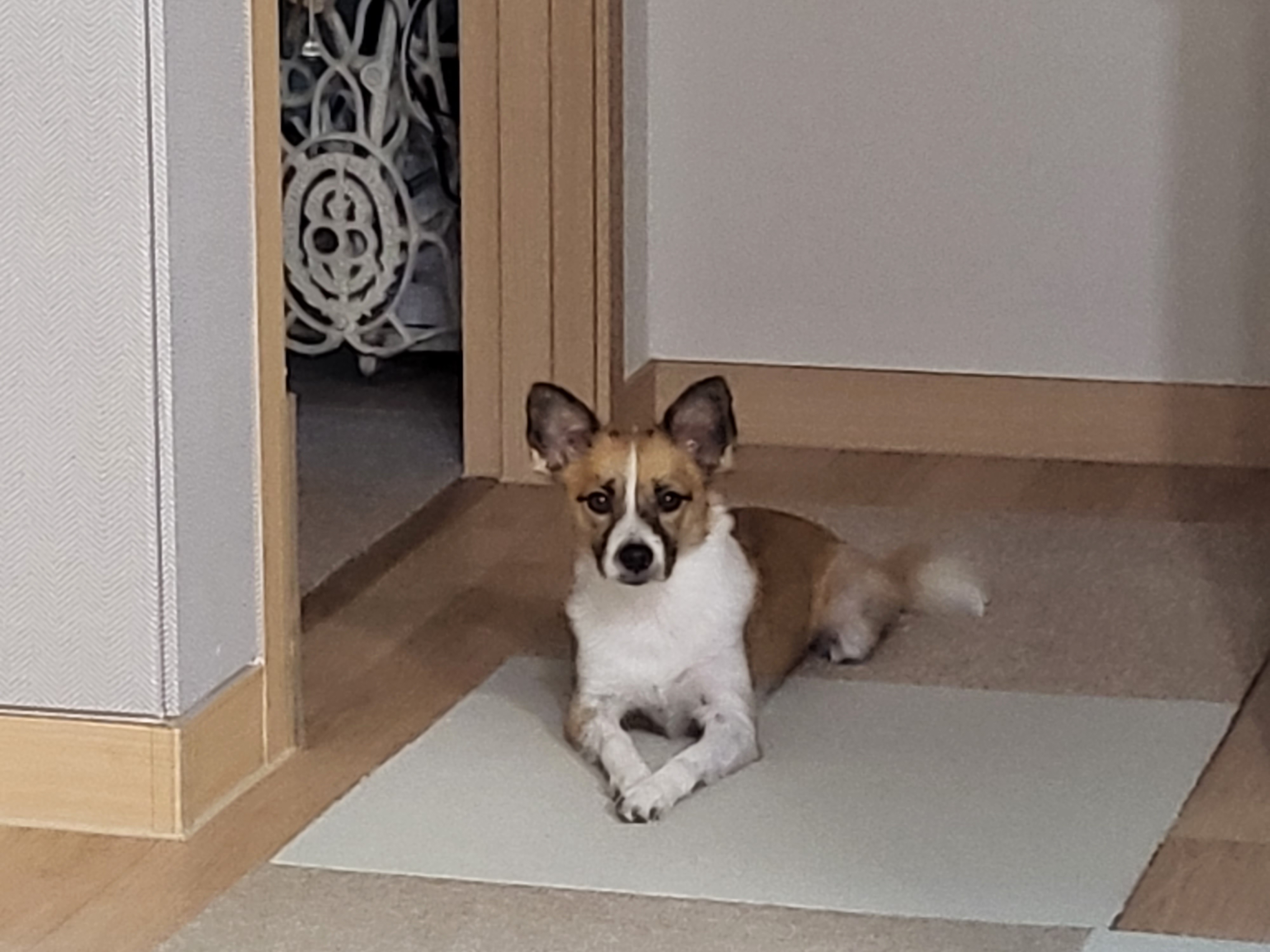 벼리(은오)와함께