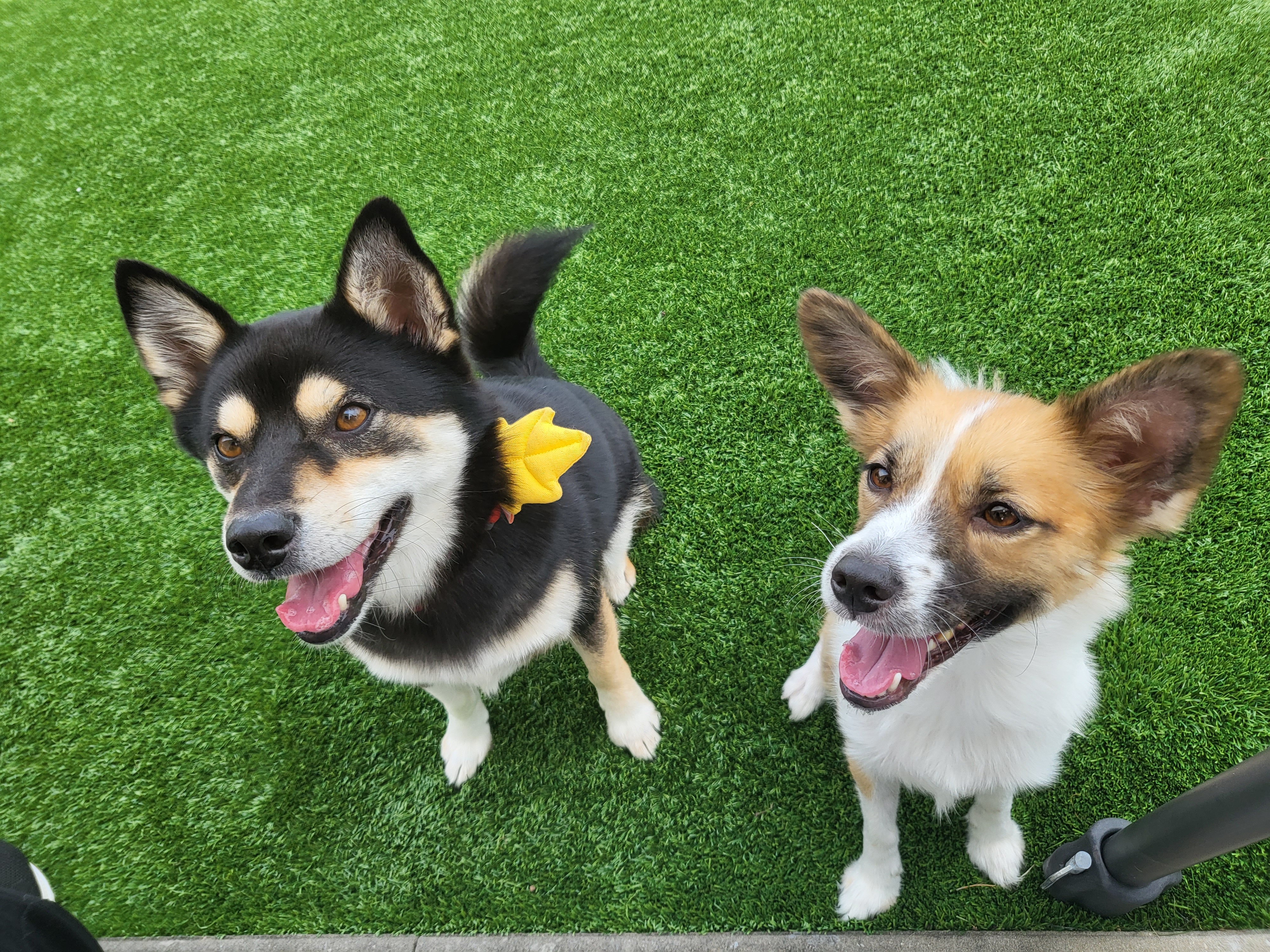 벼리(은오)와함께