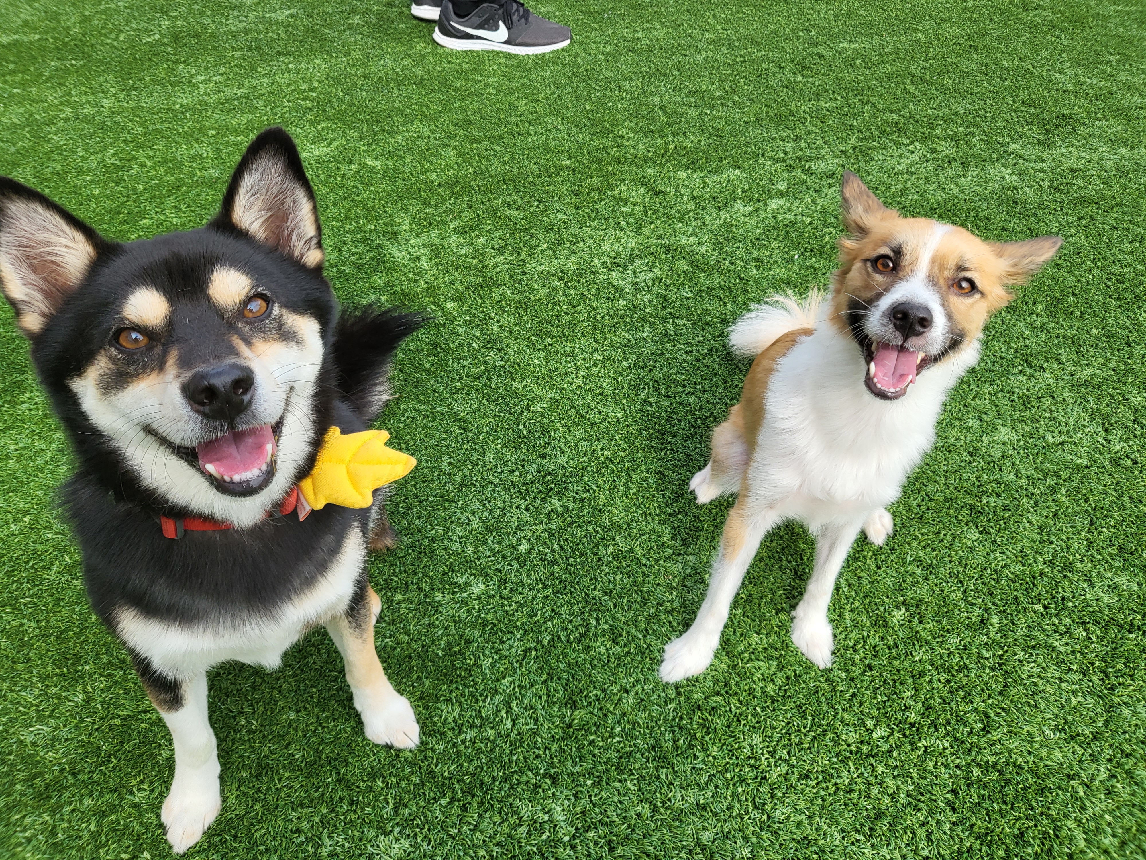 벼리(은오)와함께