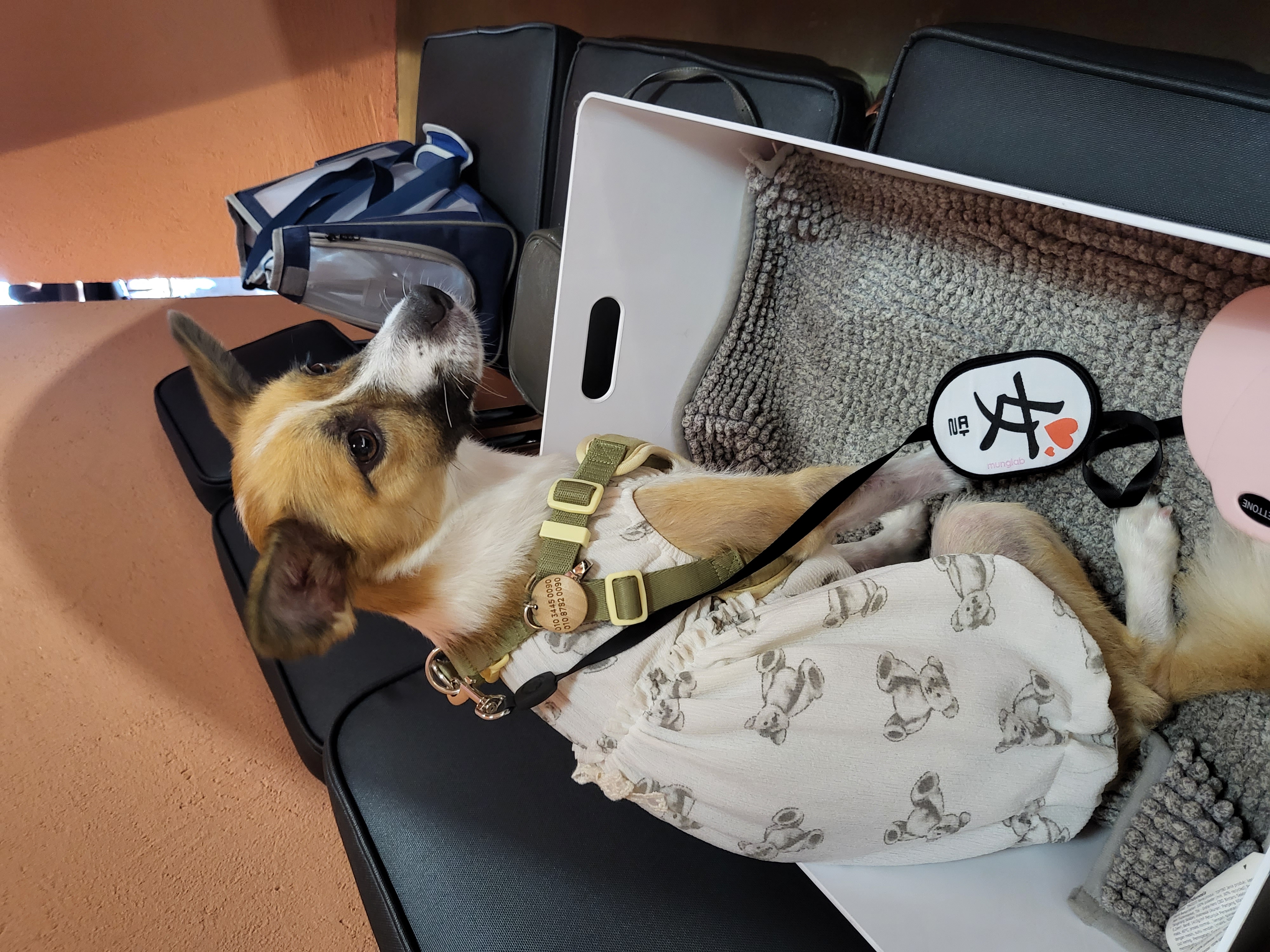 벼리(은오)와함께