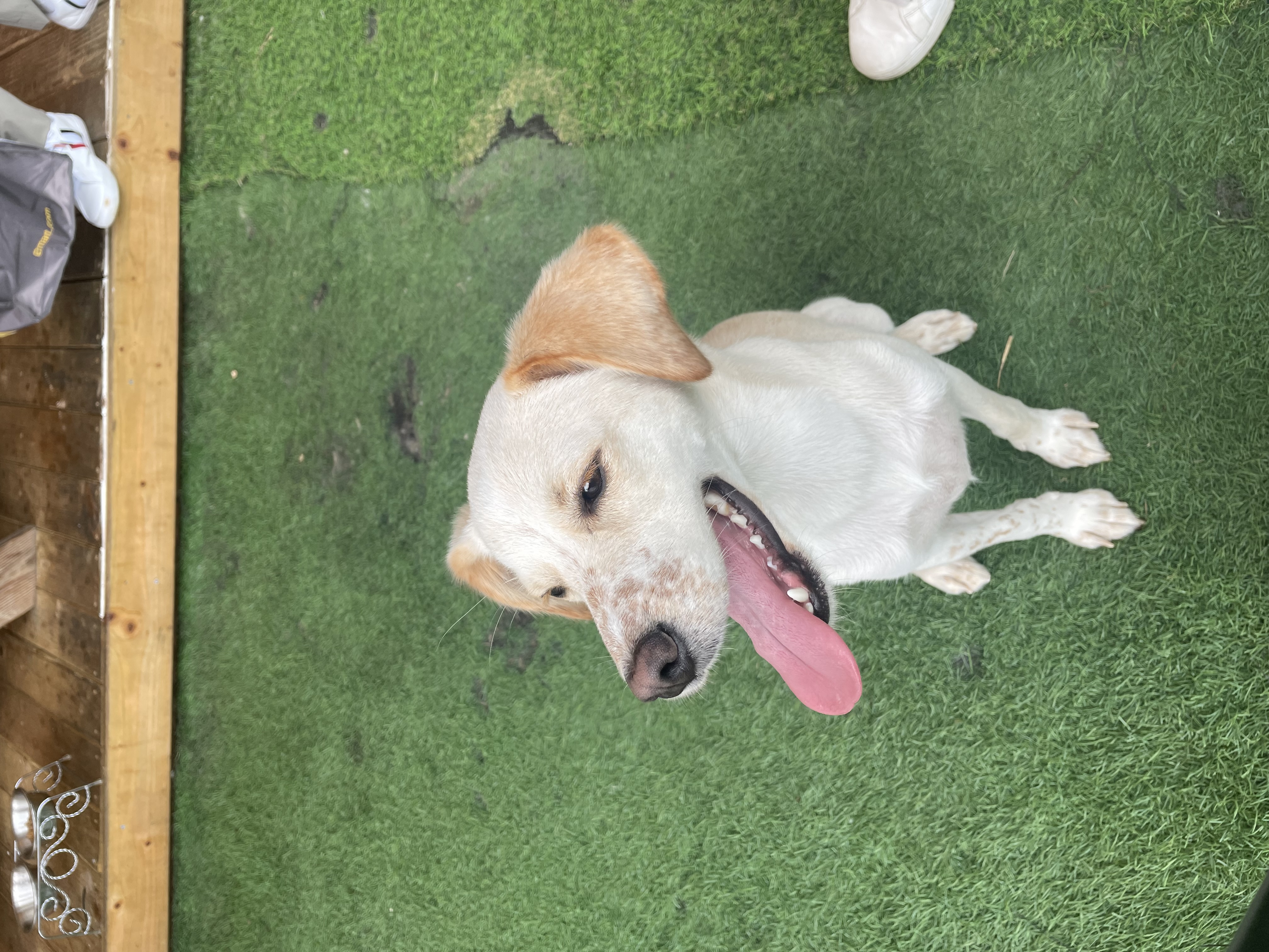 구 멍구 현 아토 집에 온 지 2년