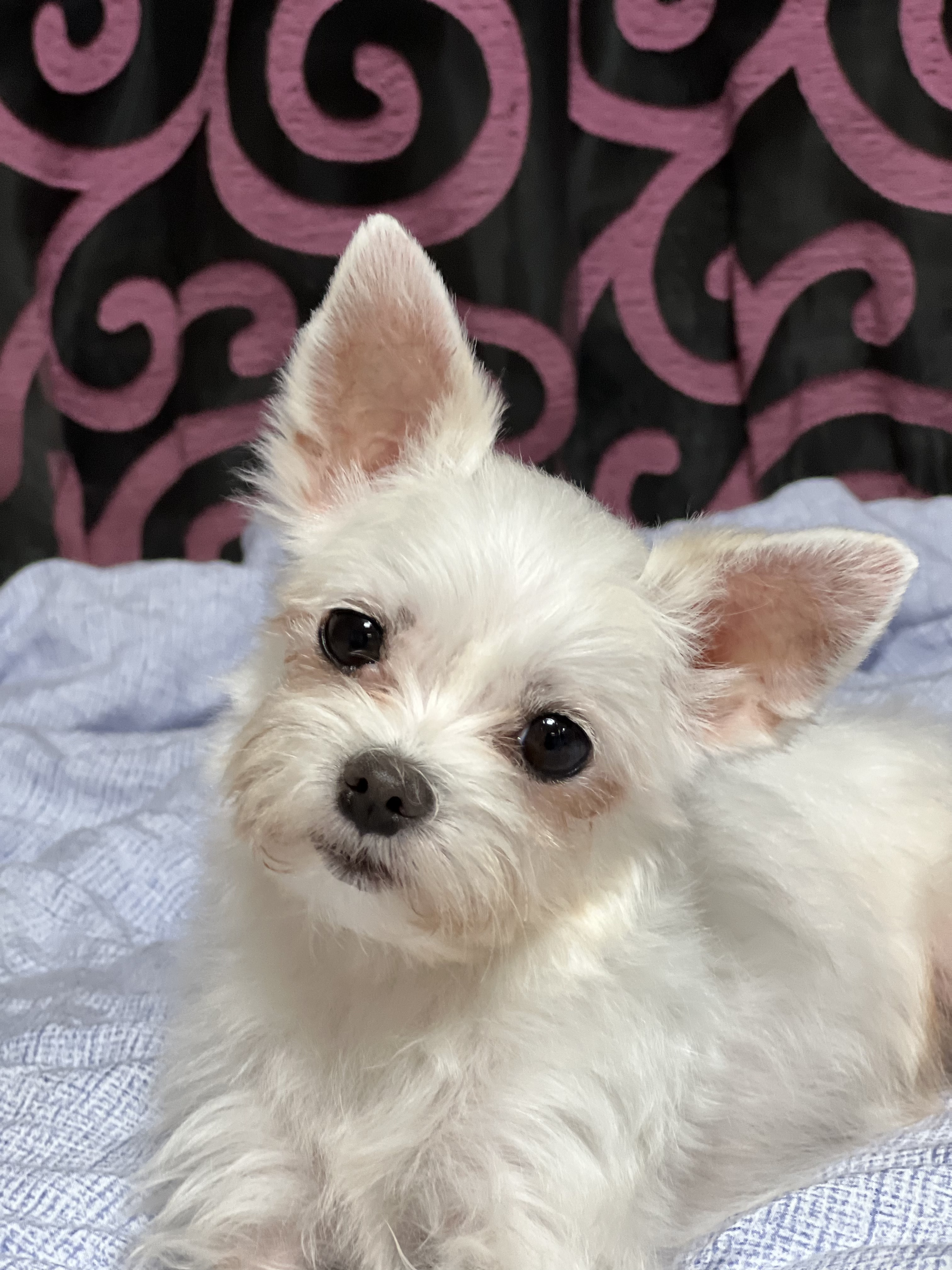 아름이(구: 나희) 잘 지내요~