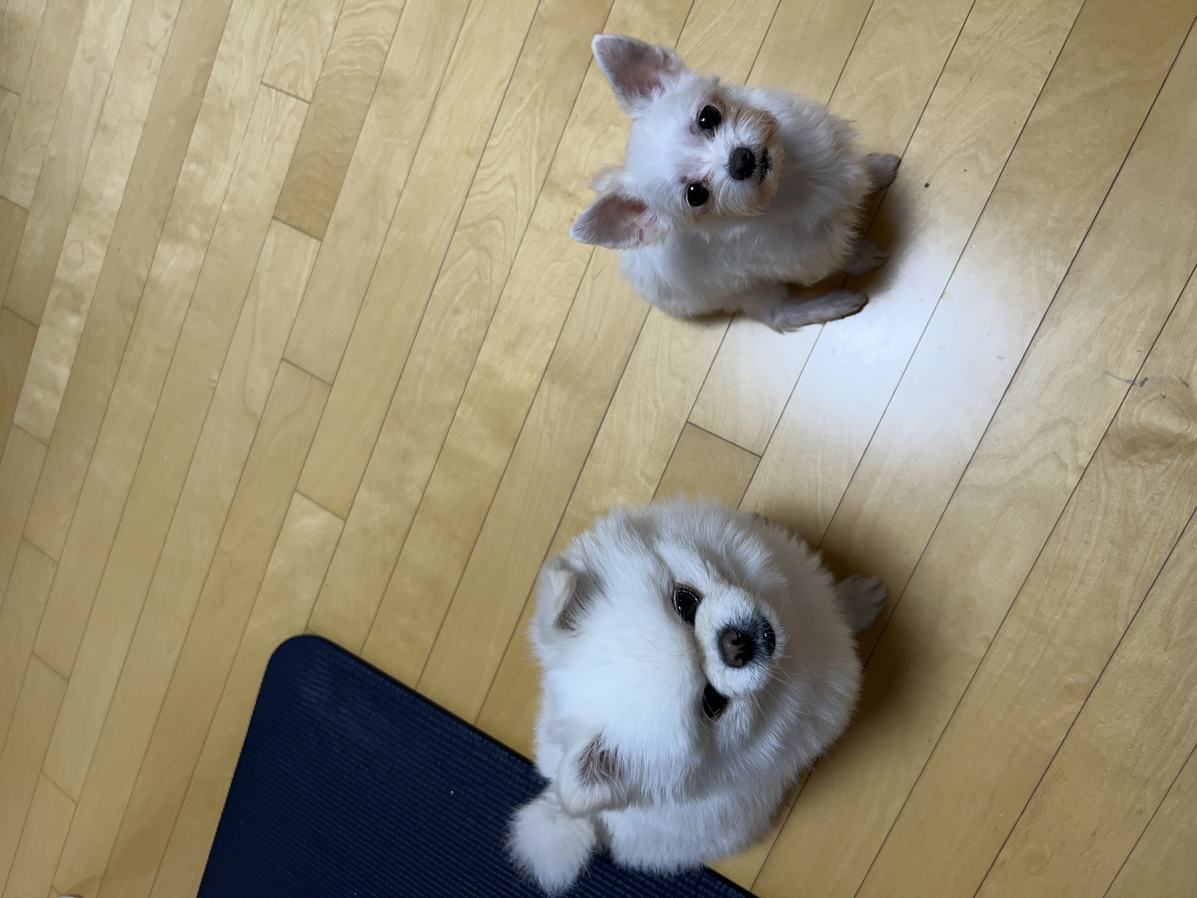 아름이(구: 나희) 잘 지내요~