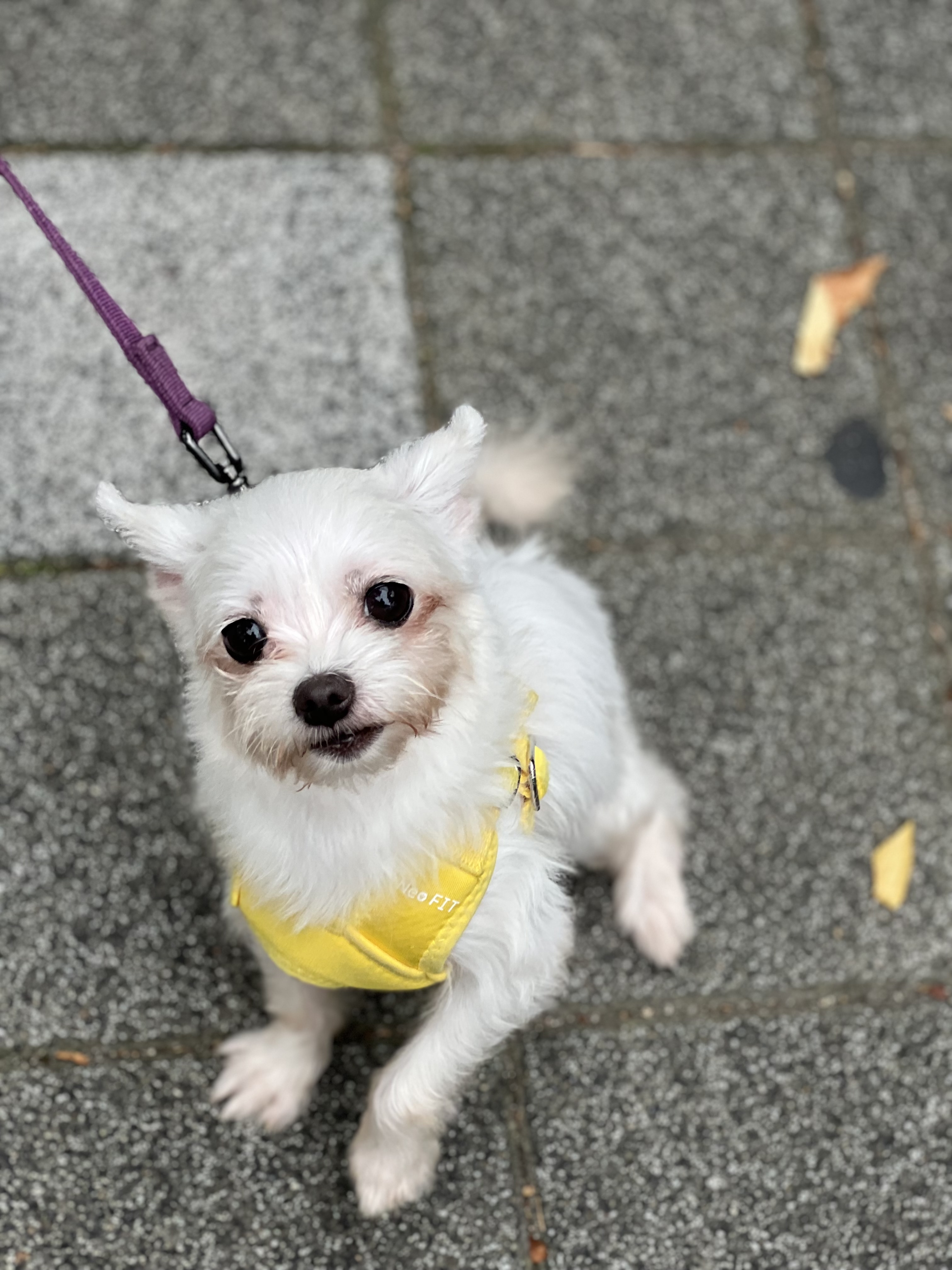 아름이(구: 나희) 잘 지내요~