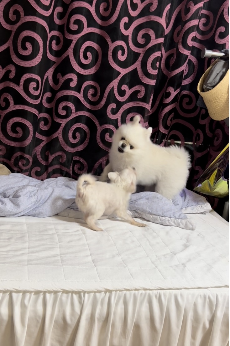 아름이(구: 나희) 잘 지내요~