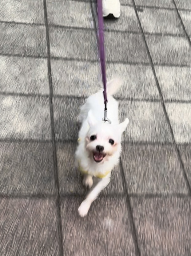 아름이(구: 나희) 잘 지내요~