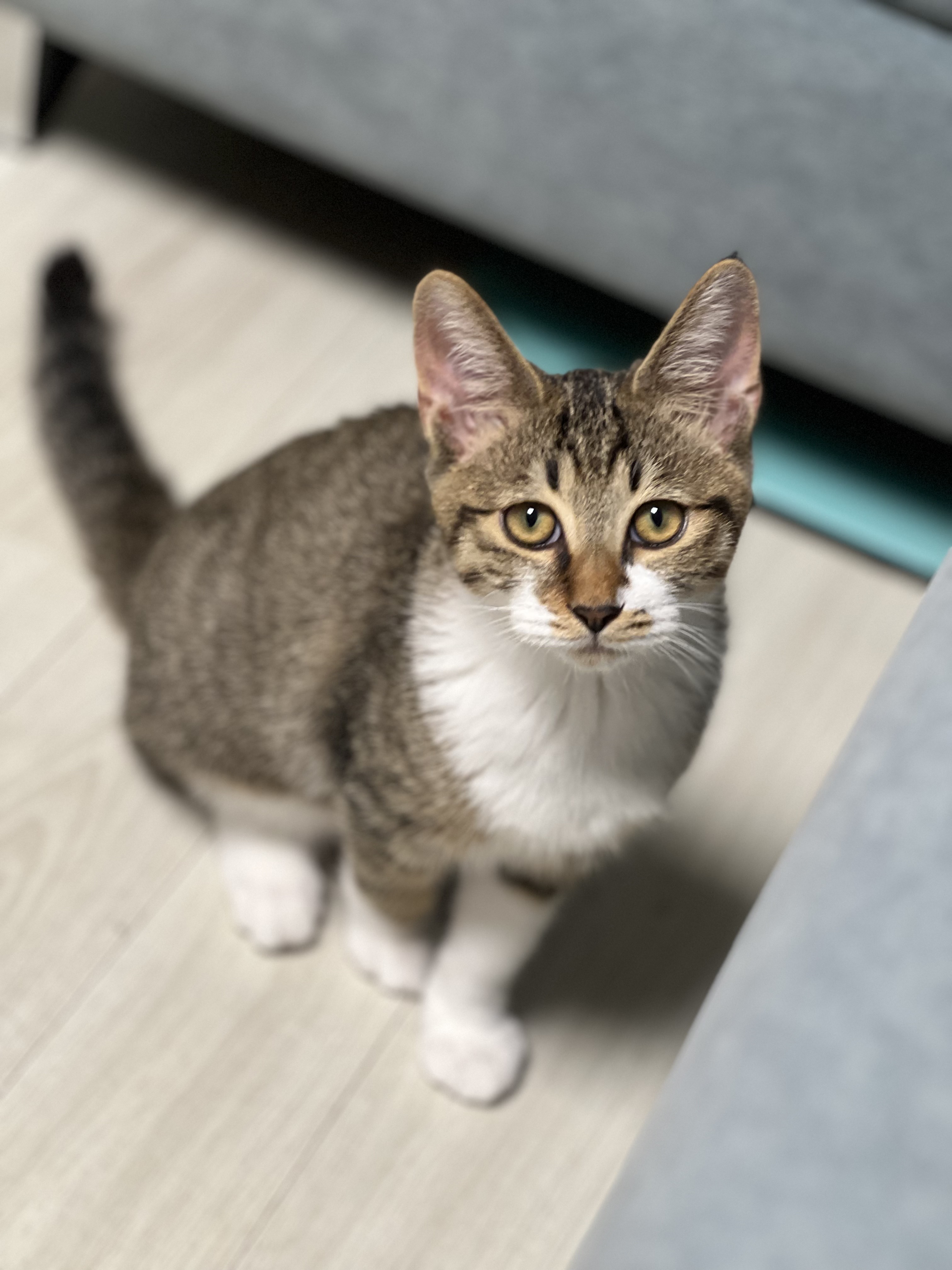 타바사(구:트윙클) 근황입니다~♡