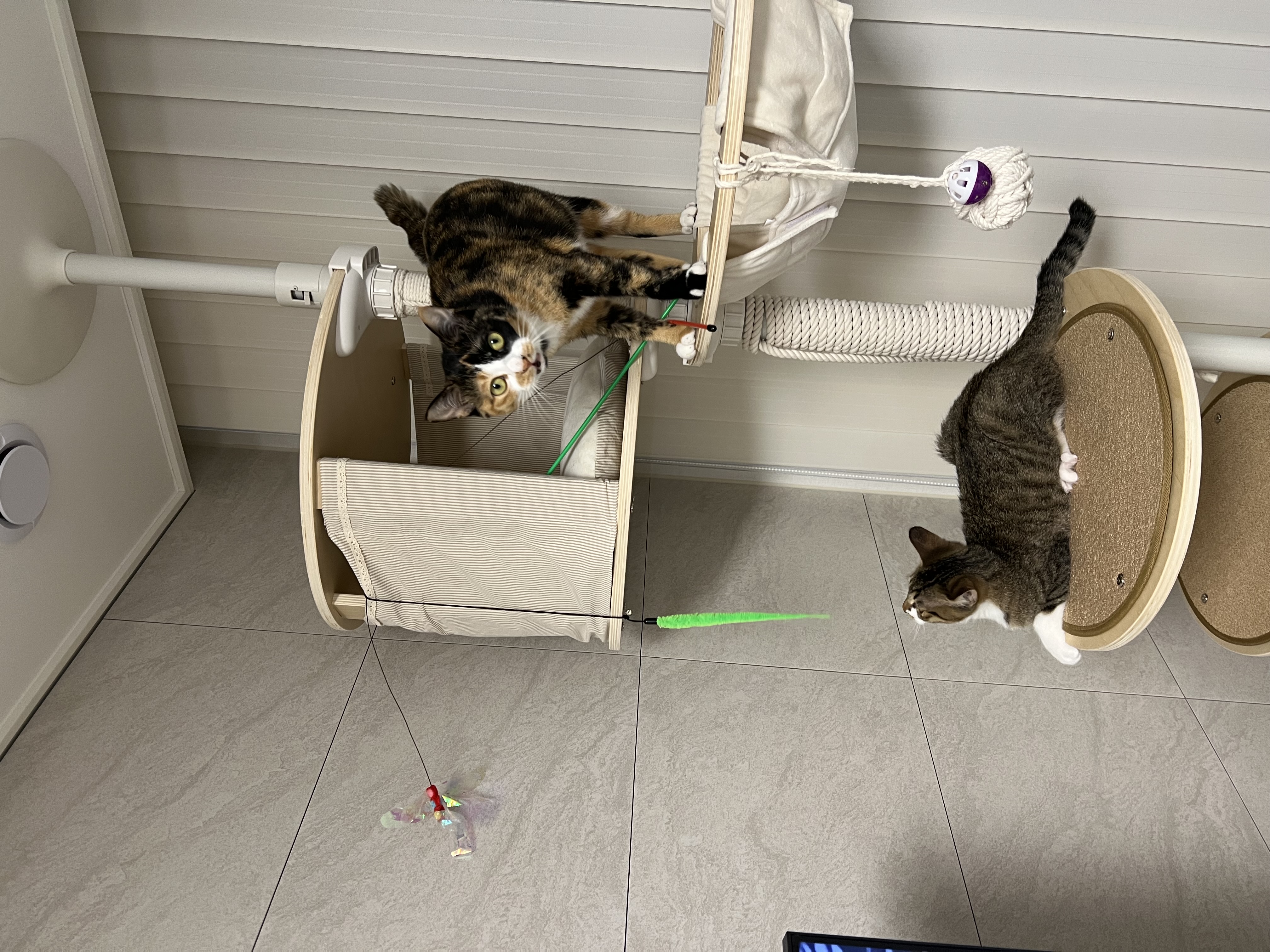 타바사(구:트윙클) 근황입니다~♡