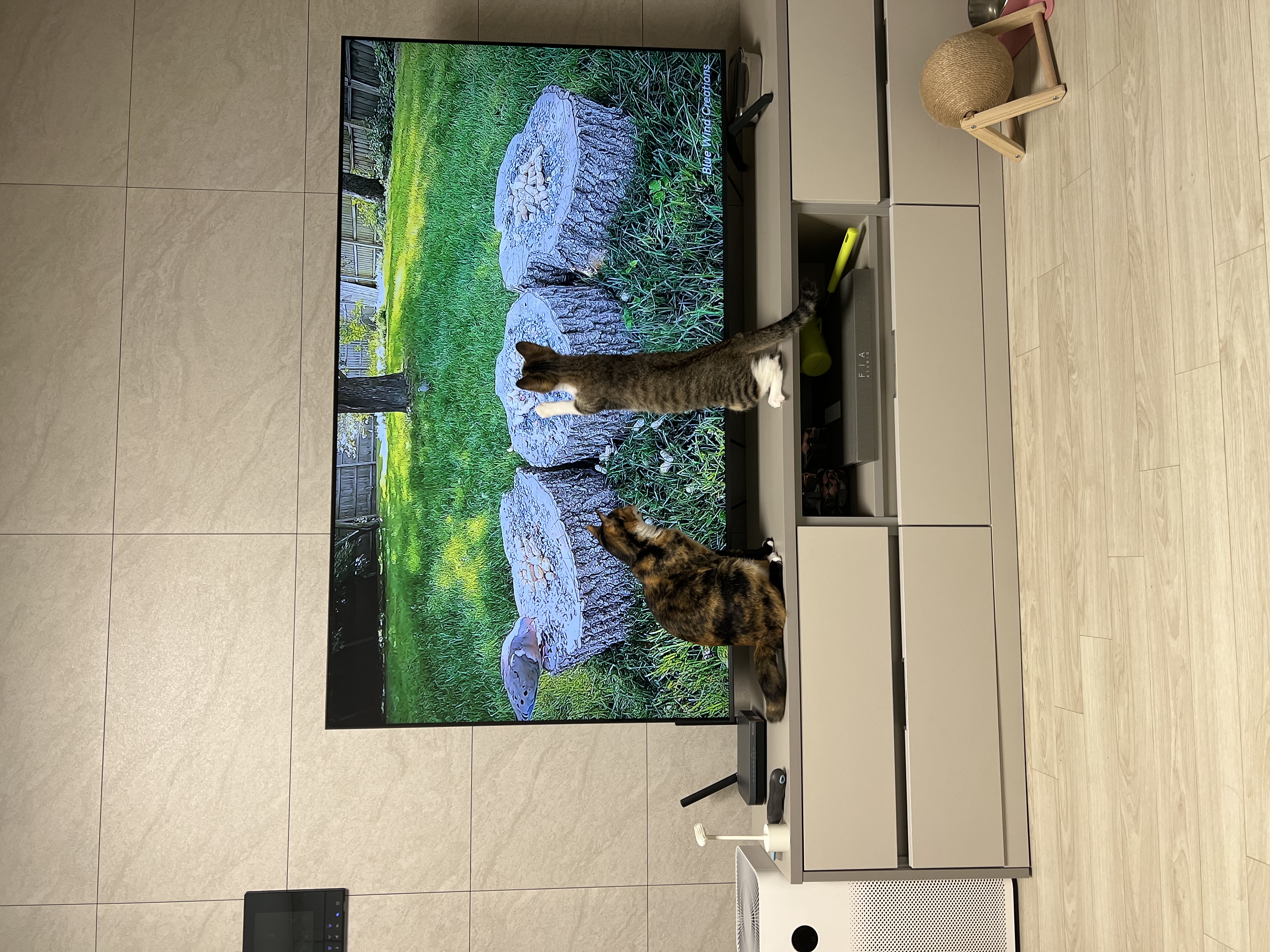 타바사(구:트윙클) 근황입니다~♡