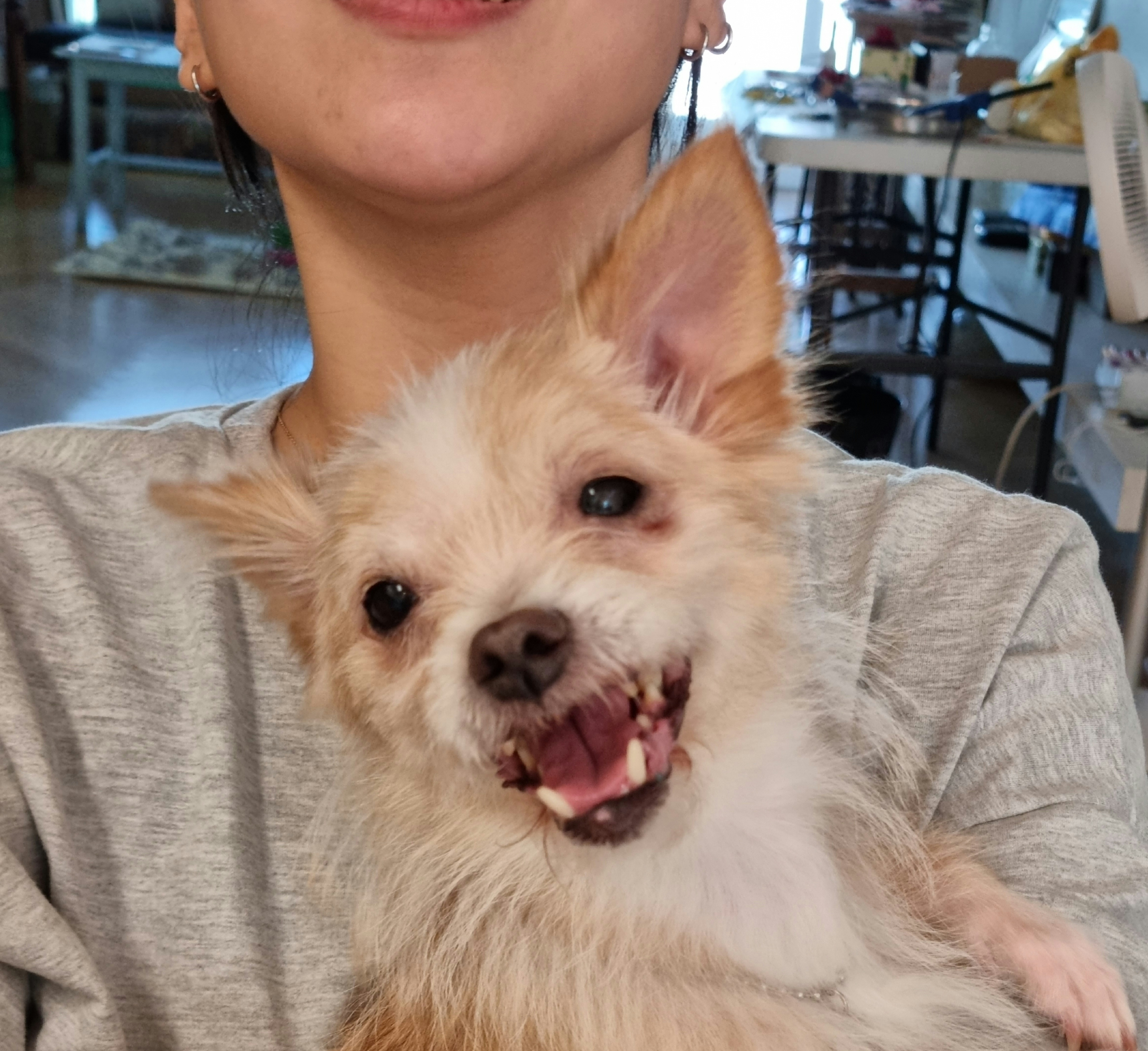 예쁜포나  임보일지