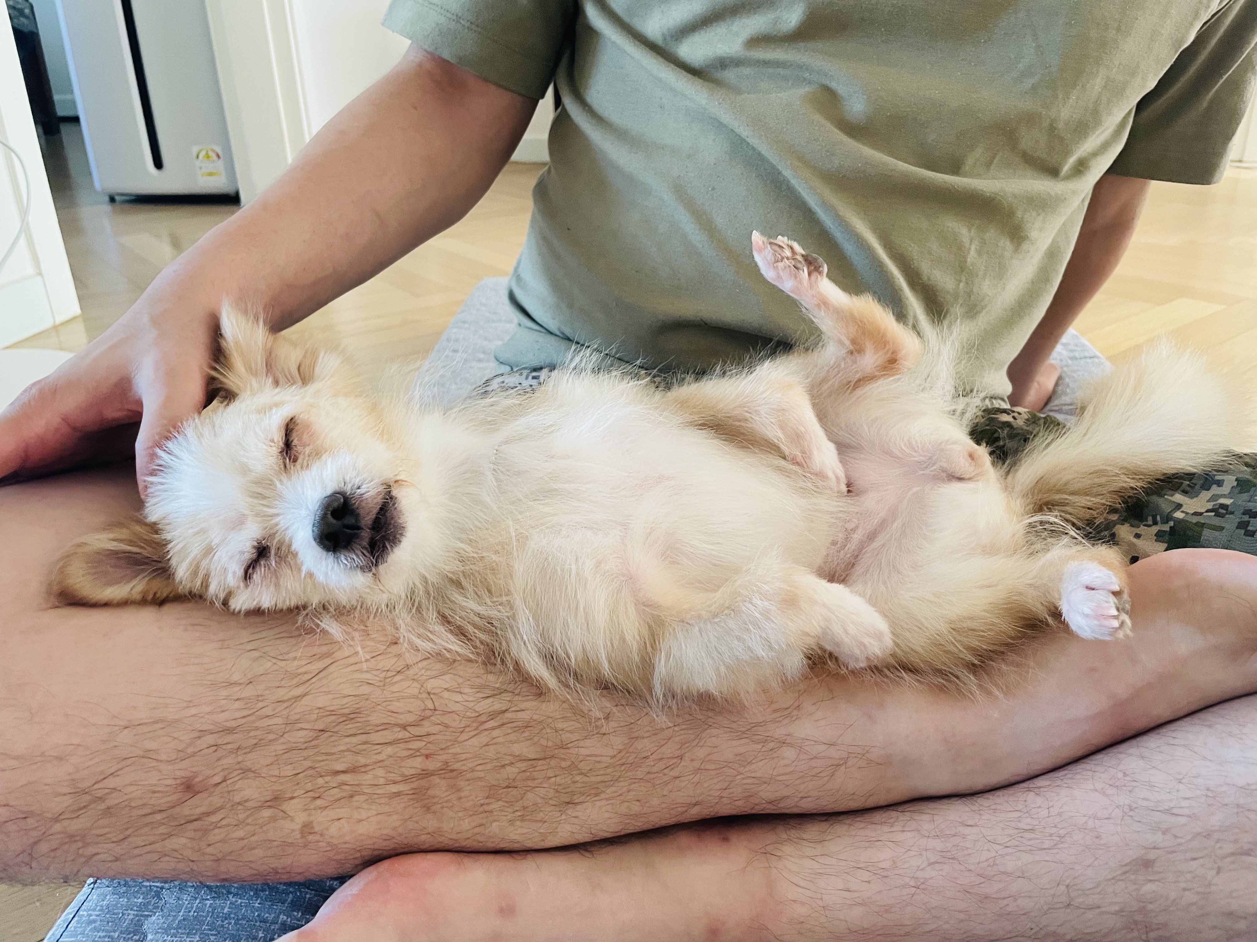 예쁜포나  임보일지