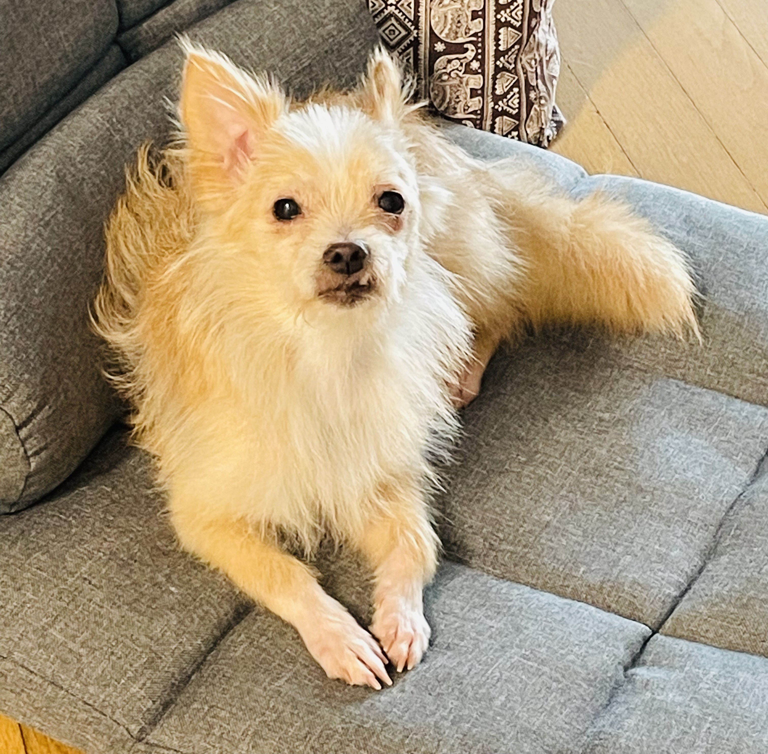 예쁜포나  임보일지