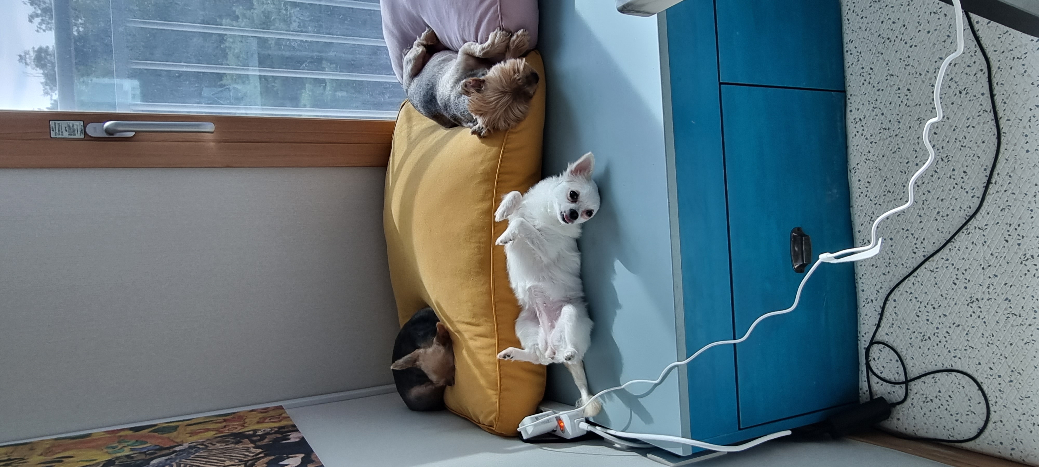 (올리) 벌써 두 달이 됐네요