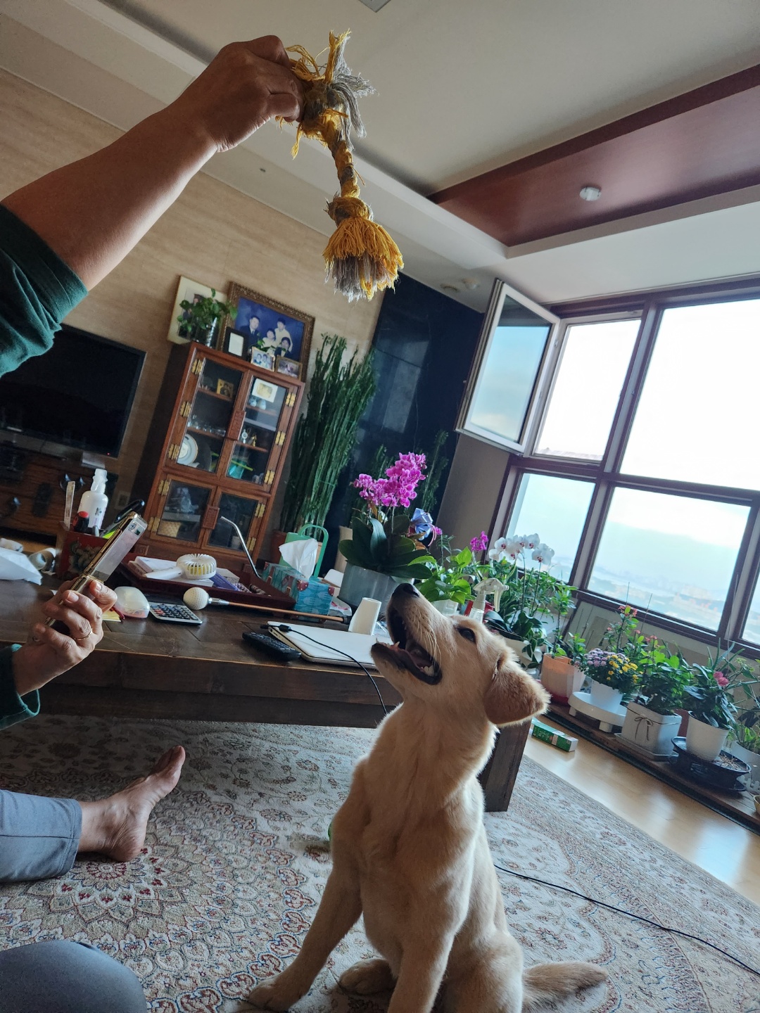 미카(사온이) 한달 후기