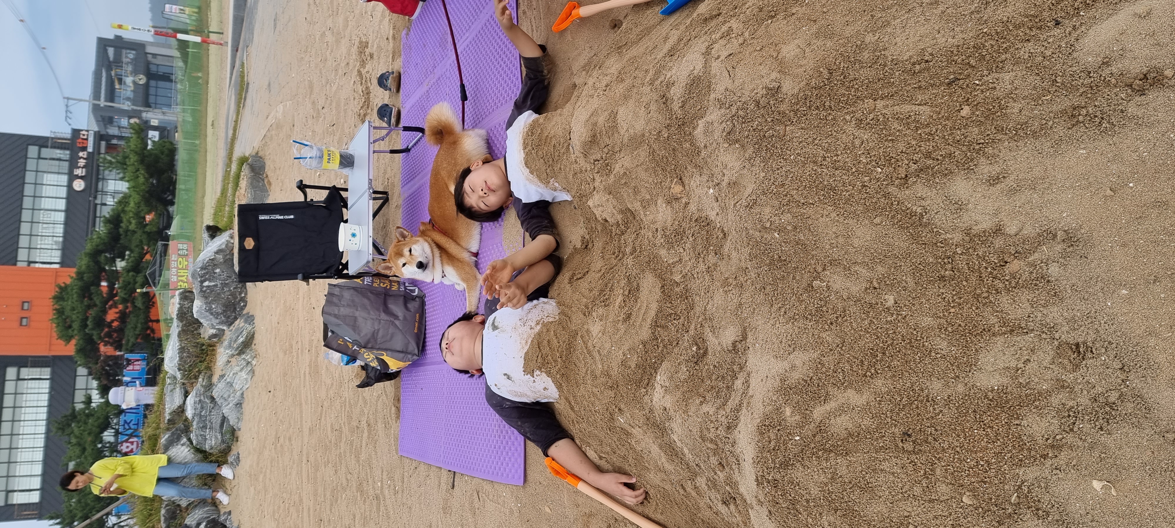 공실이 자견 네시였던 별이입니다 