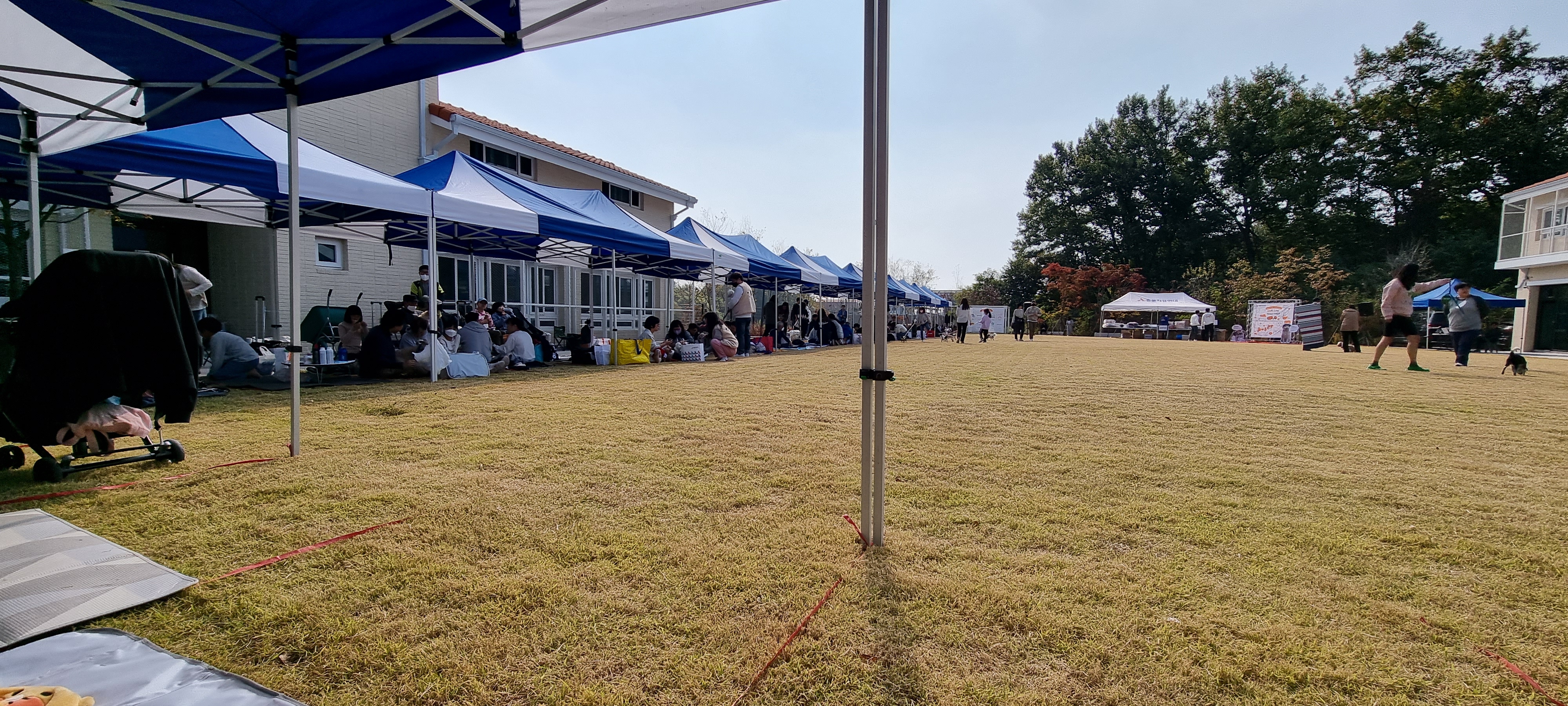 (올리) 입양의날 다녀왔어요