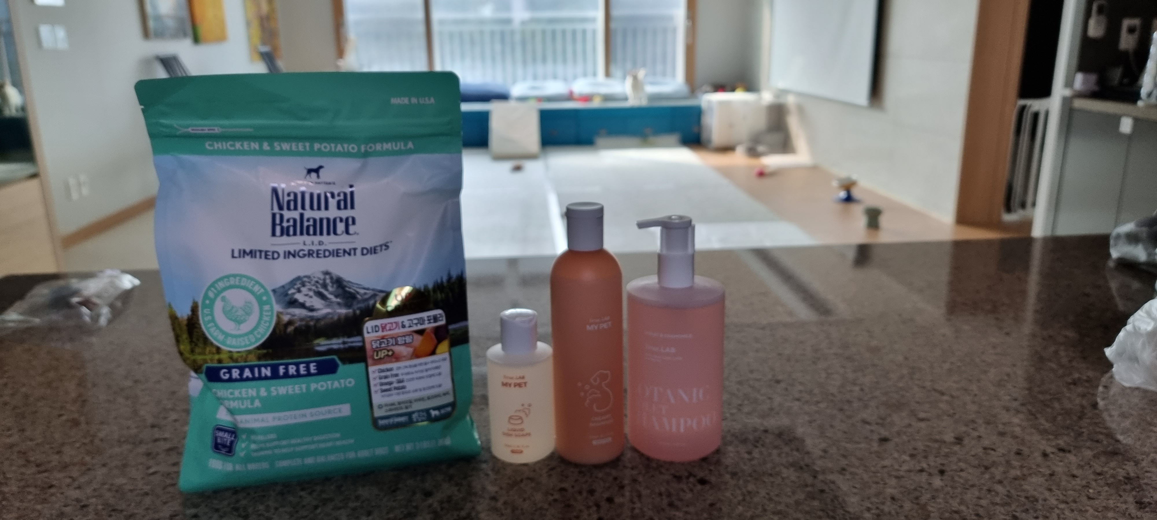 (올리) 입양의날 다녀왔어요