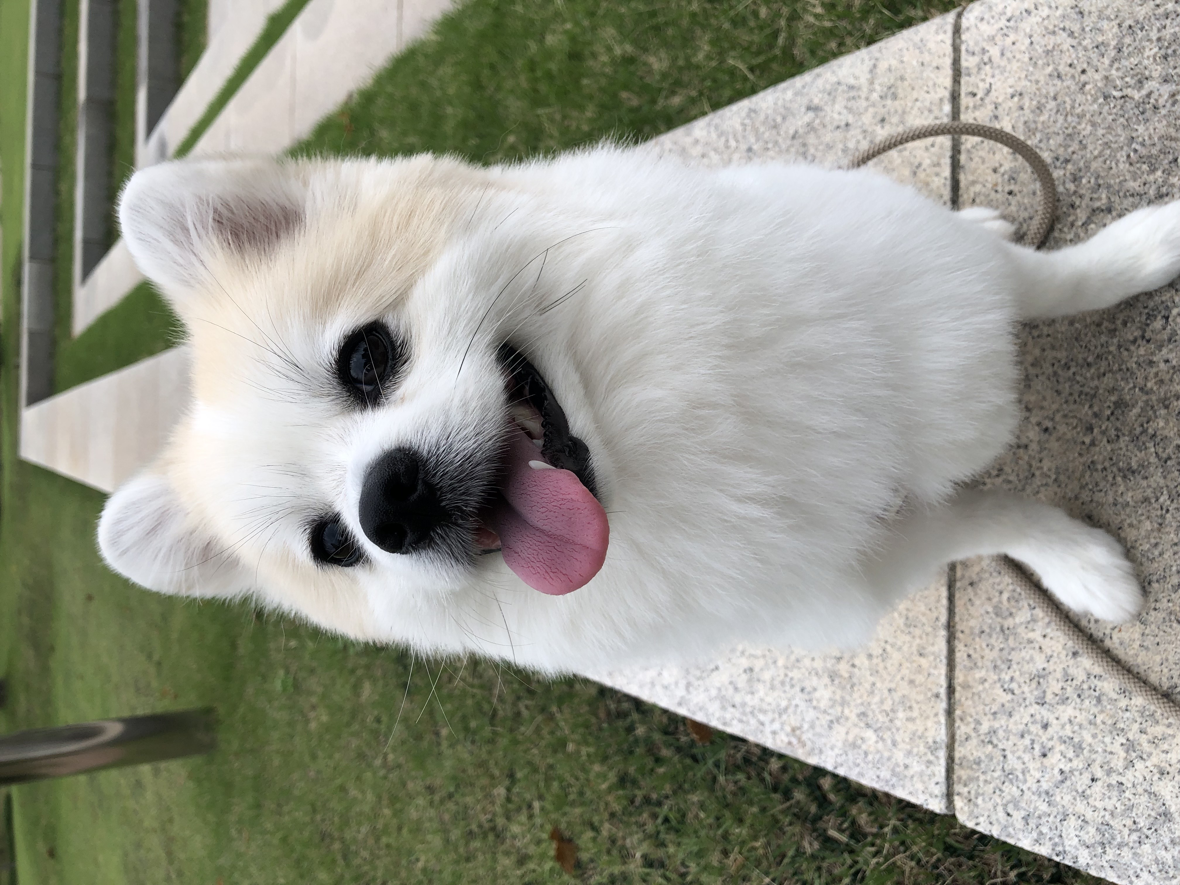 뽀또(마일이) 왔어요~